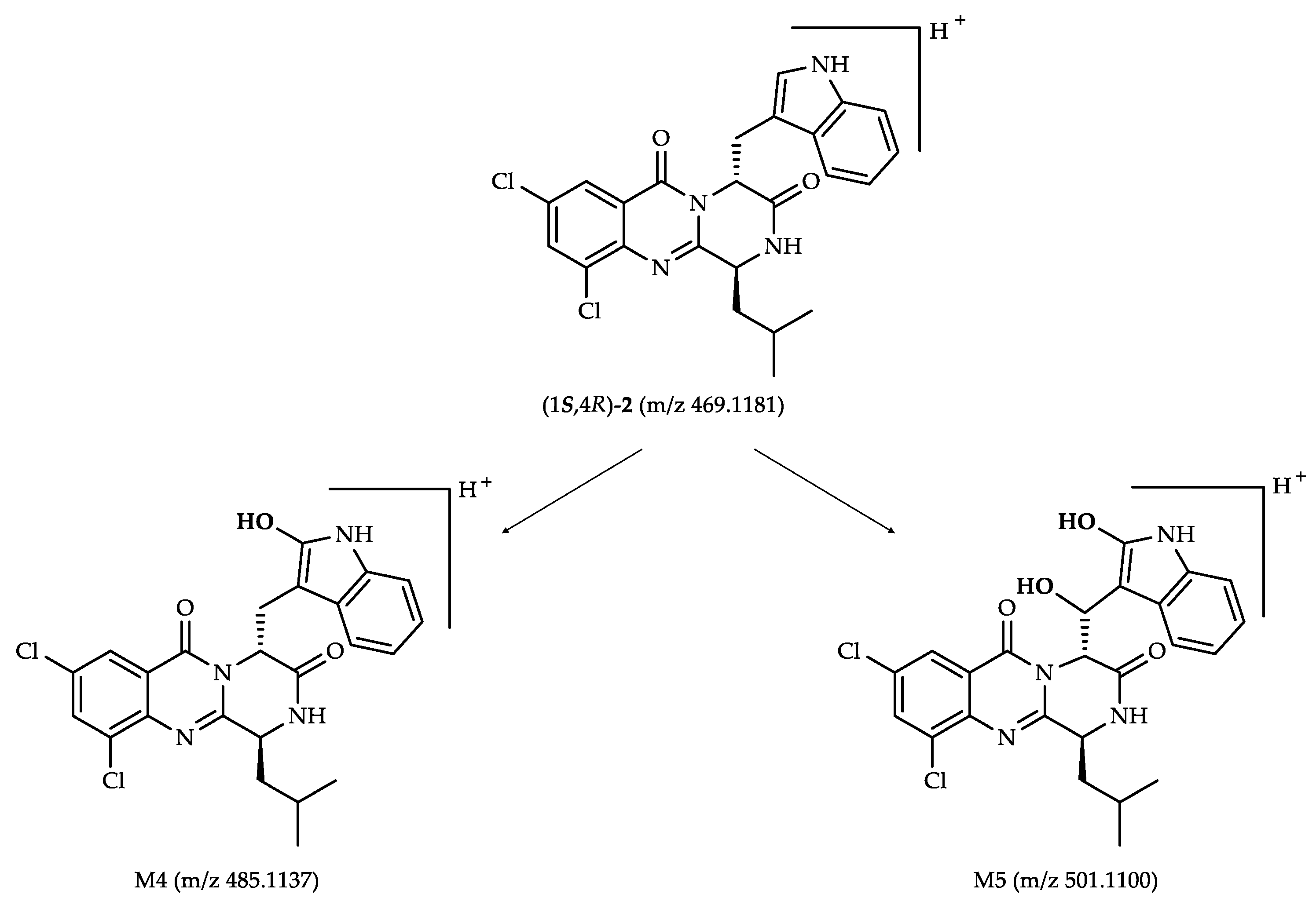 Molecules 26 05070 g004 550