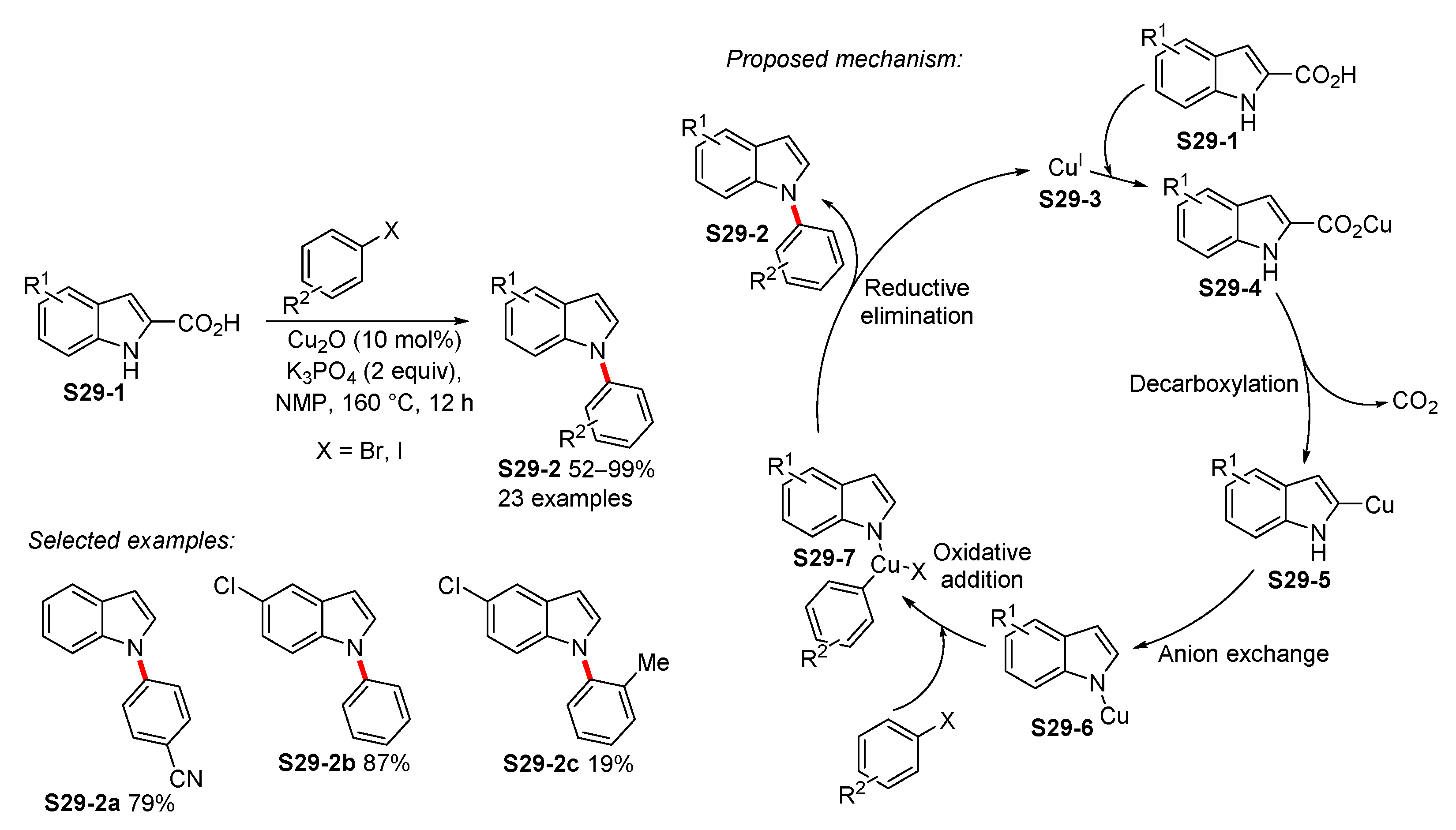 Molecules 26 05079 sch029 550