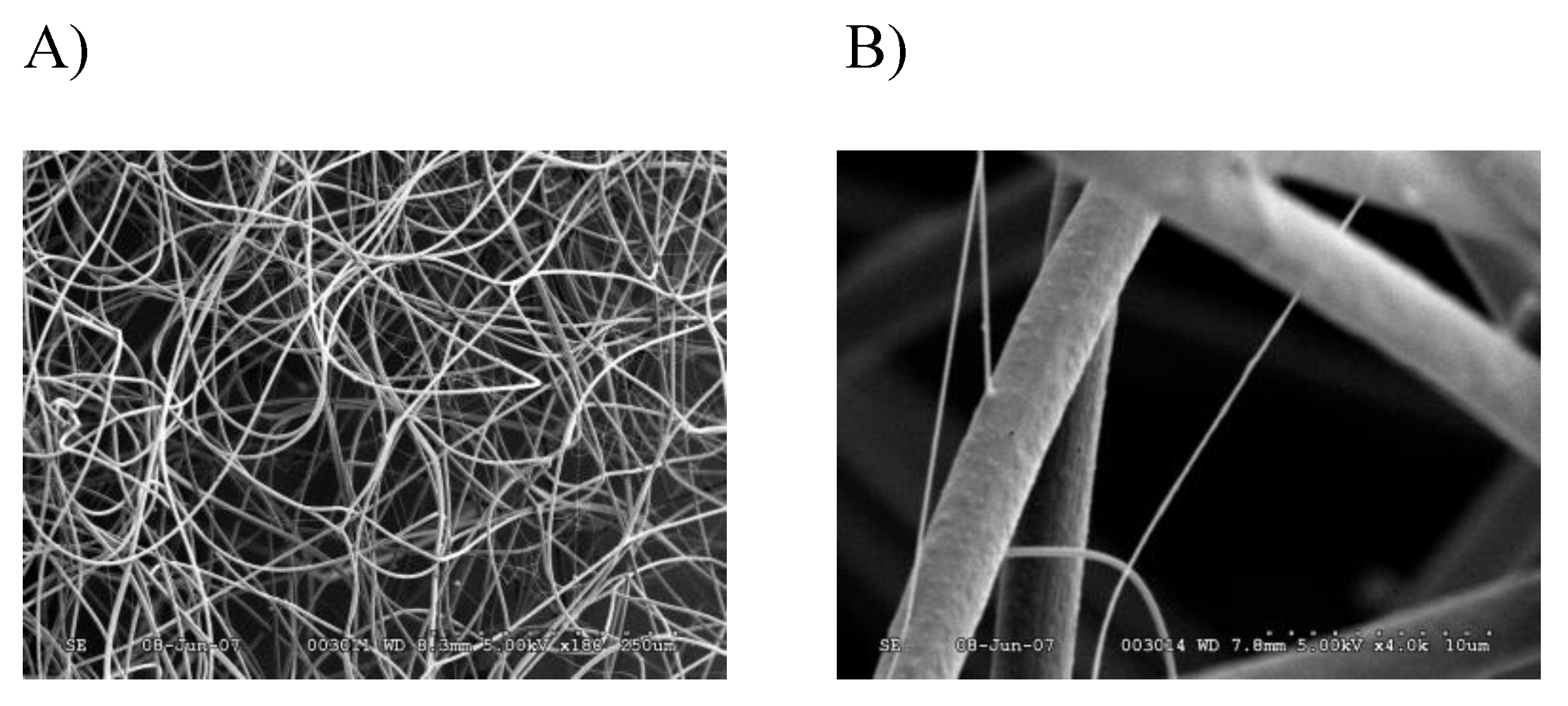 Molecules 26 05088 g002 550
