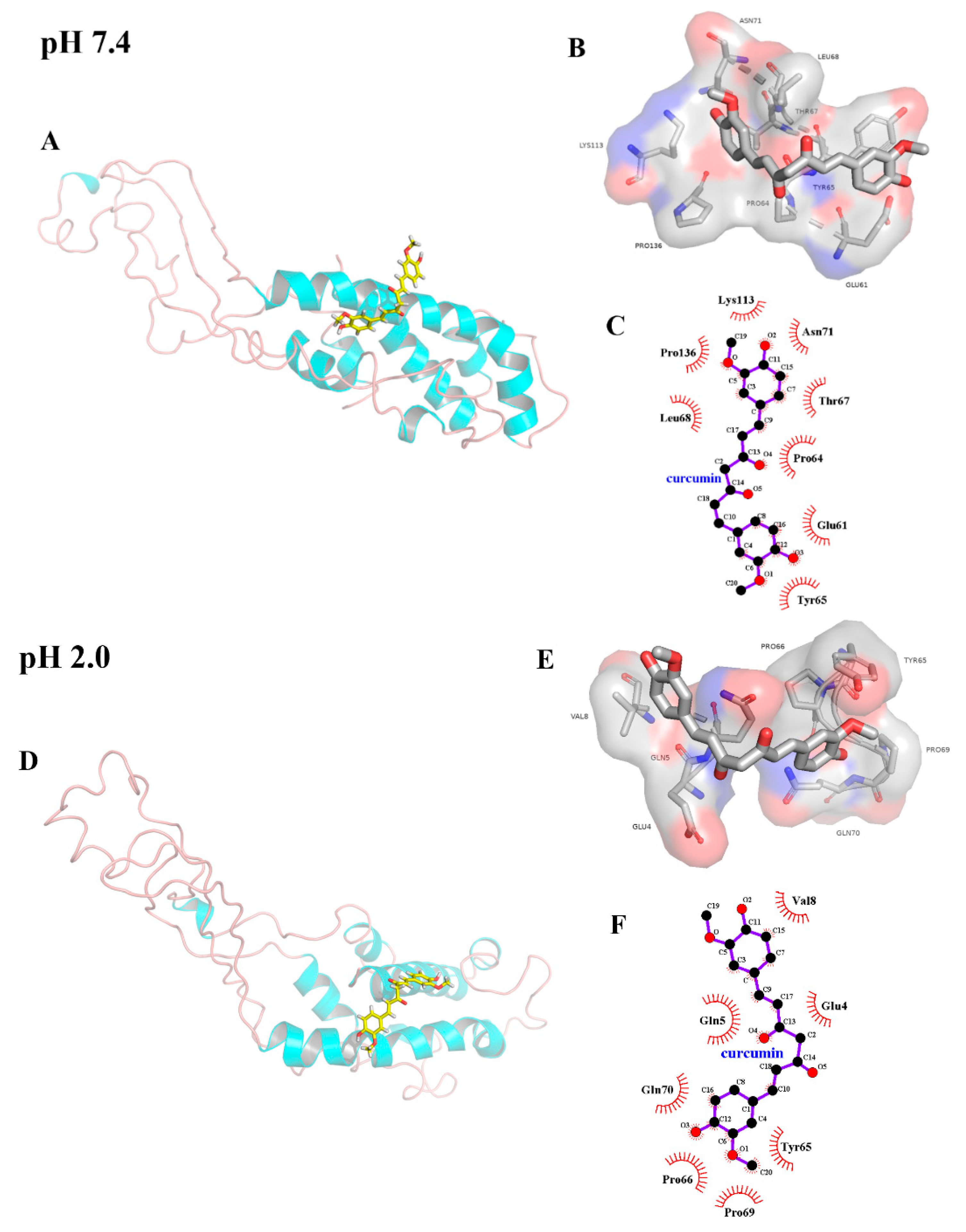 Molecules 26 05092 g004