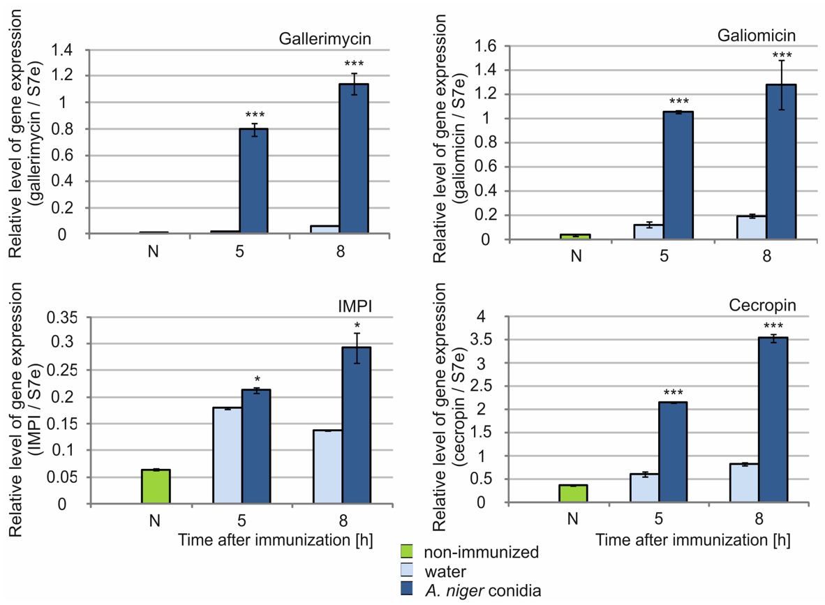 Molecules 26 05097 g007