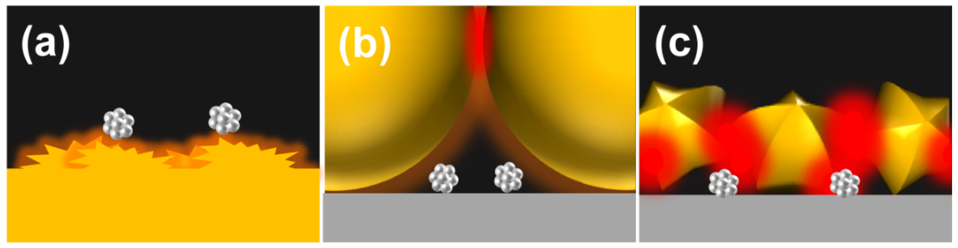 Molecules 26 05099 g001
