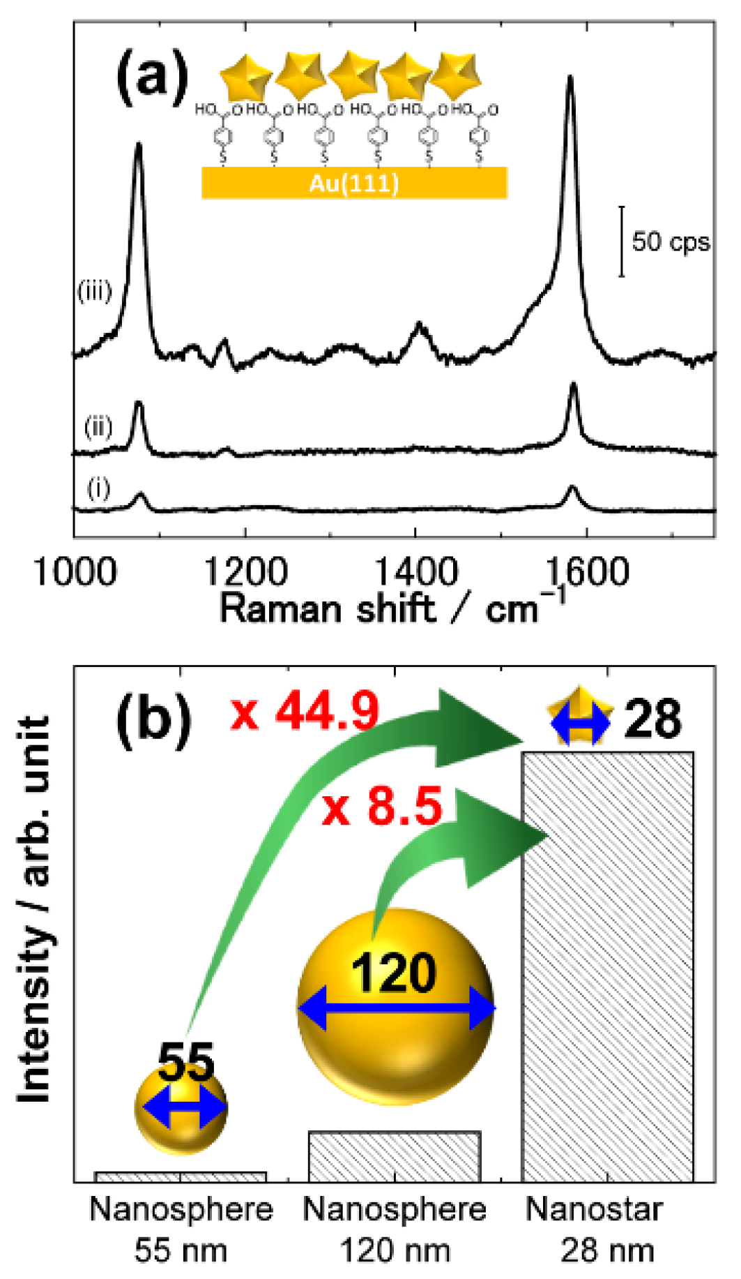 Molecules 26 05099 g003
