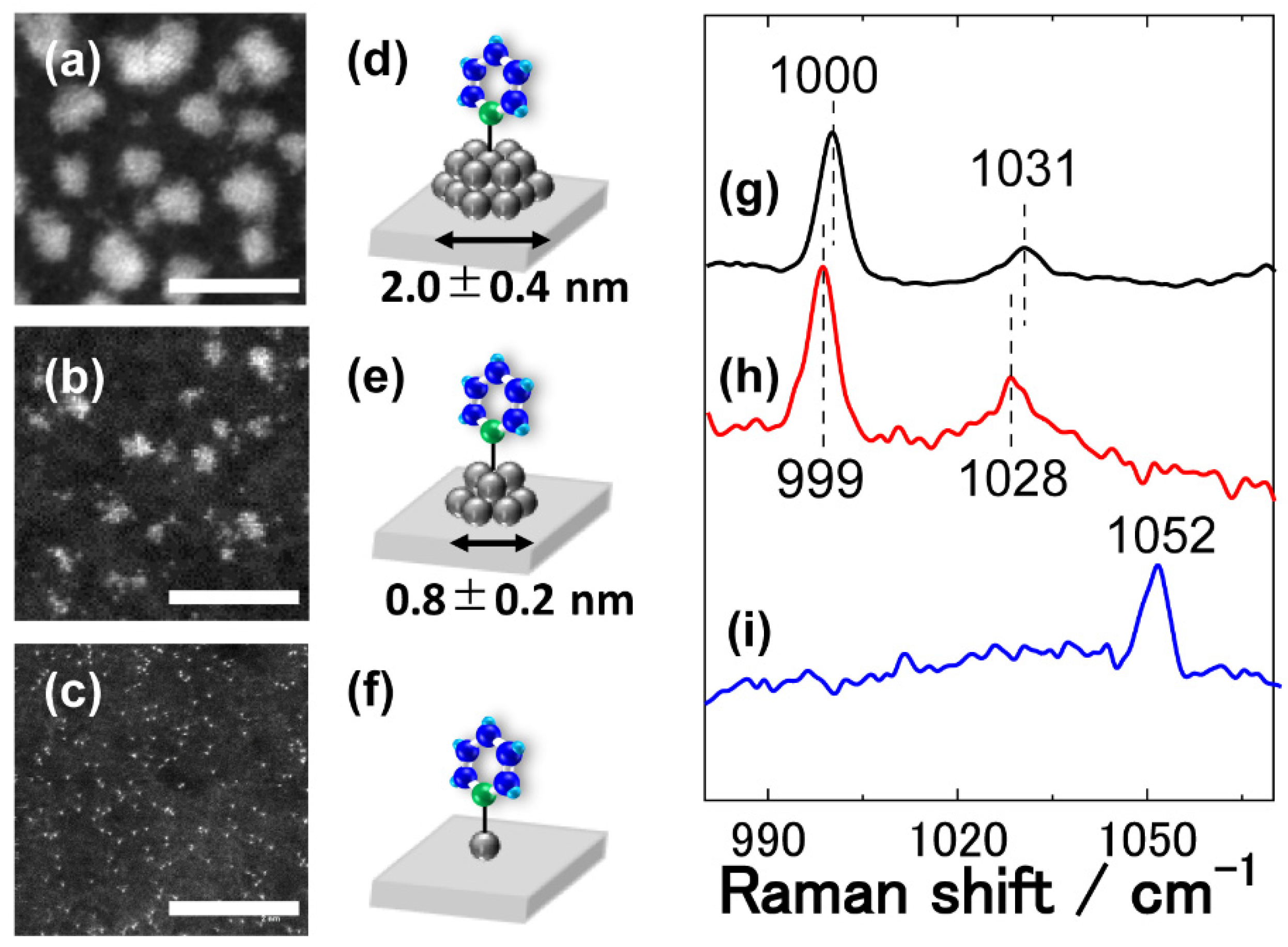 Molecules 26 05099 g004