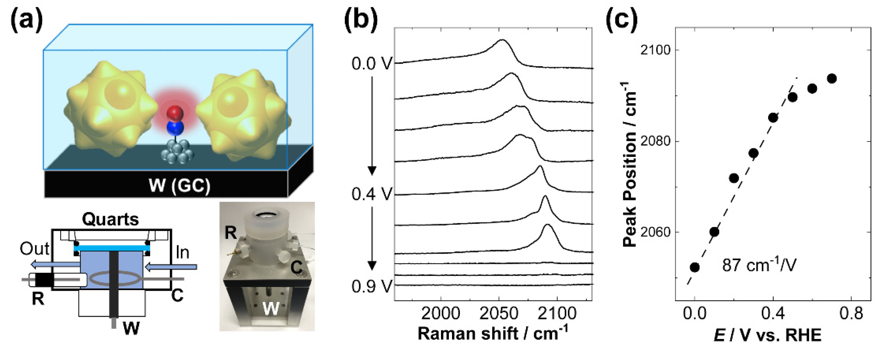 Molecules 26 05099 g005