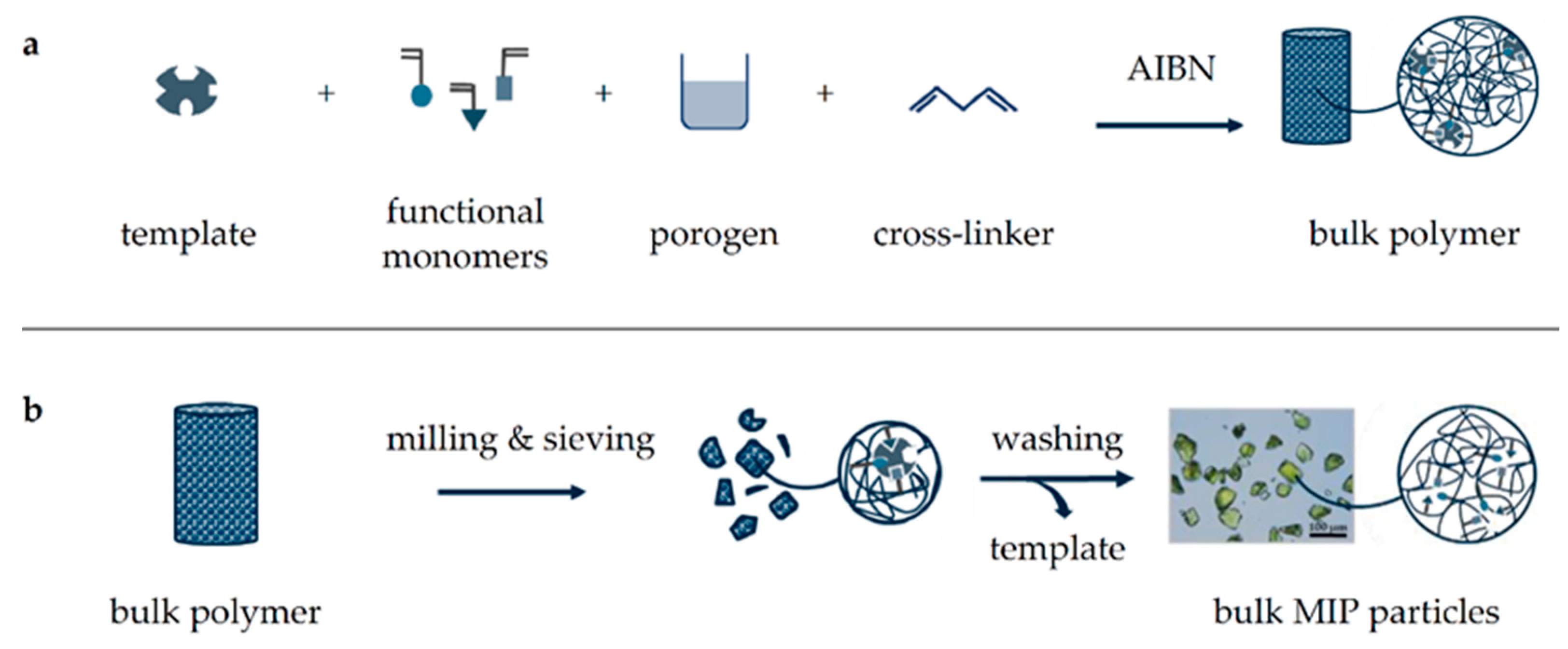 Molecules 26 05101 g001 Molecules 26 05101 g001
