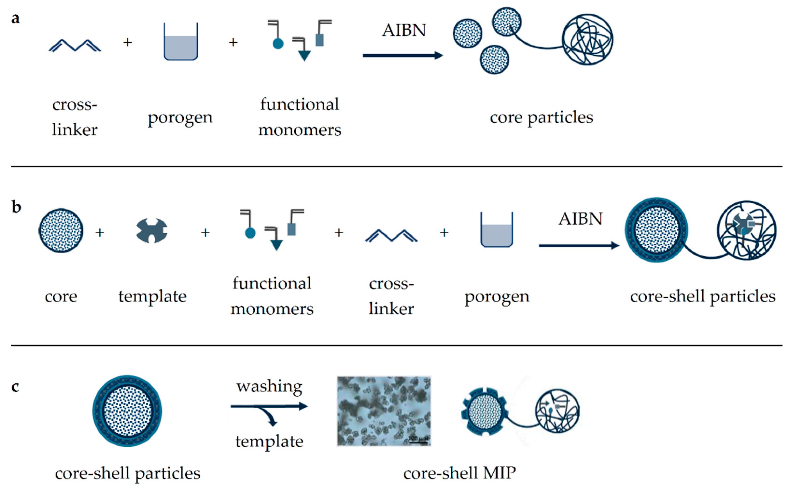 Molecules 26 05101 g002 Molecules 26 05101 g002