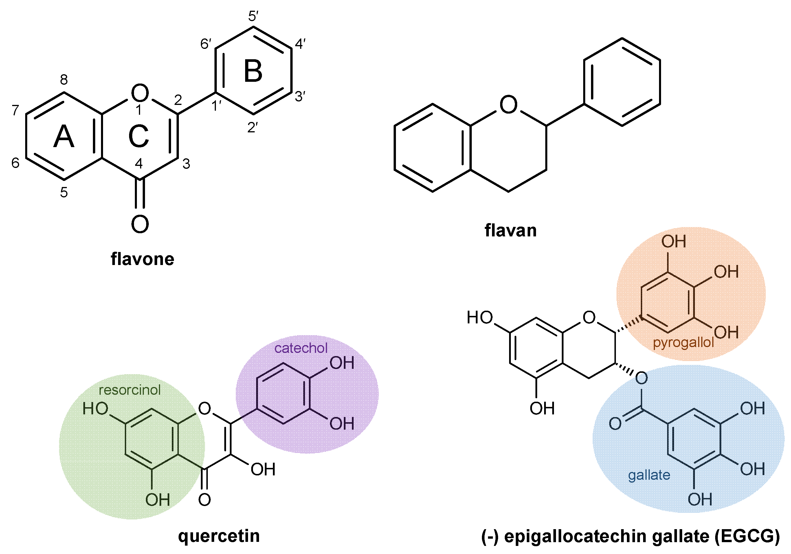 Molecules 26 05102 g002 Molecules 26 05102 g002
