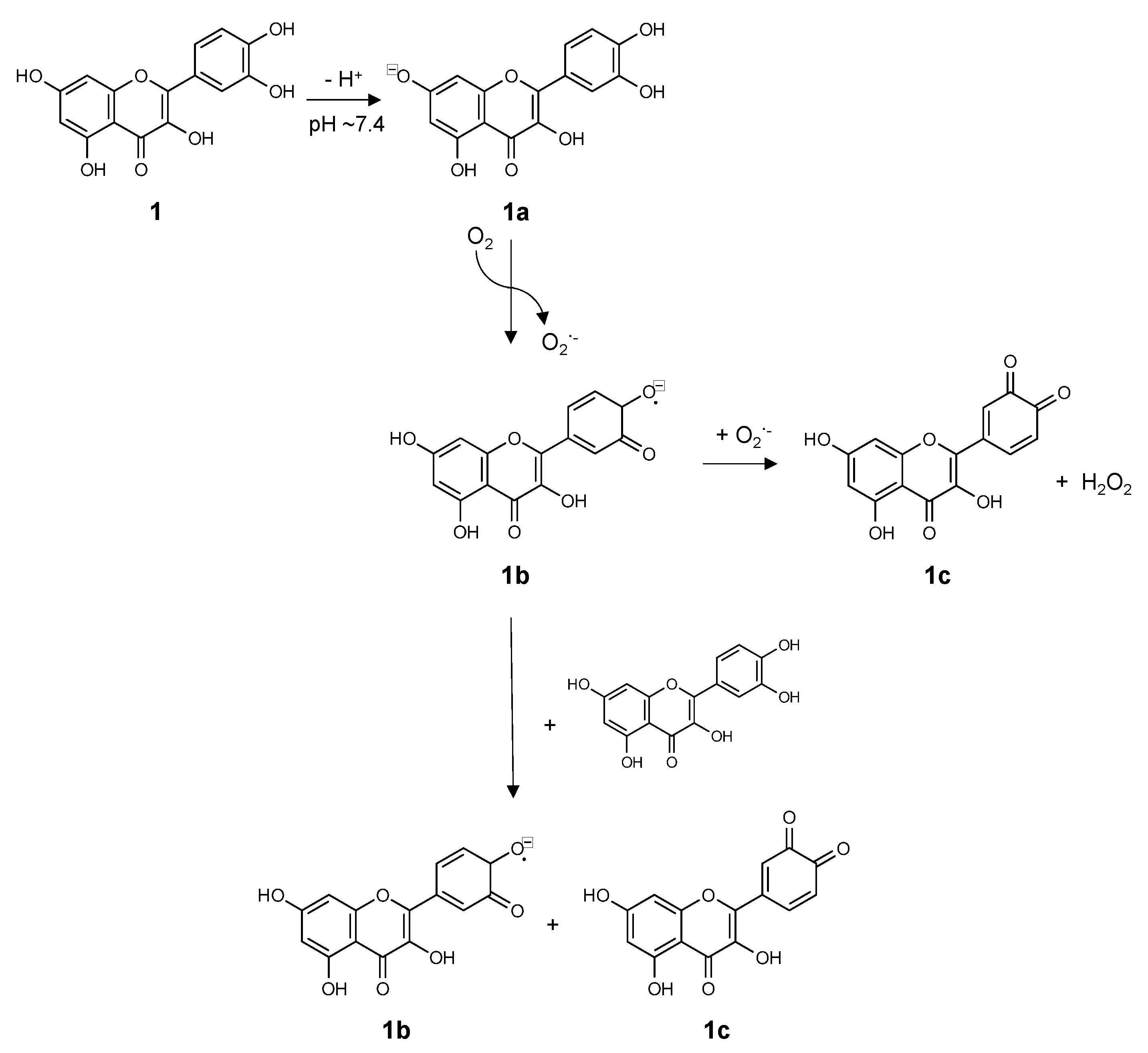 Molecules 26 05102 g003 Molecules 26 05102 g003