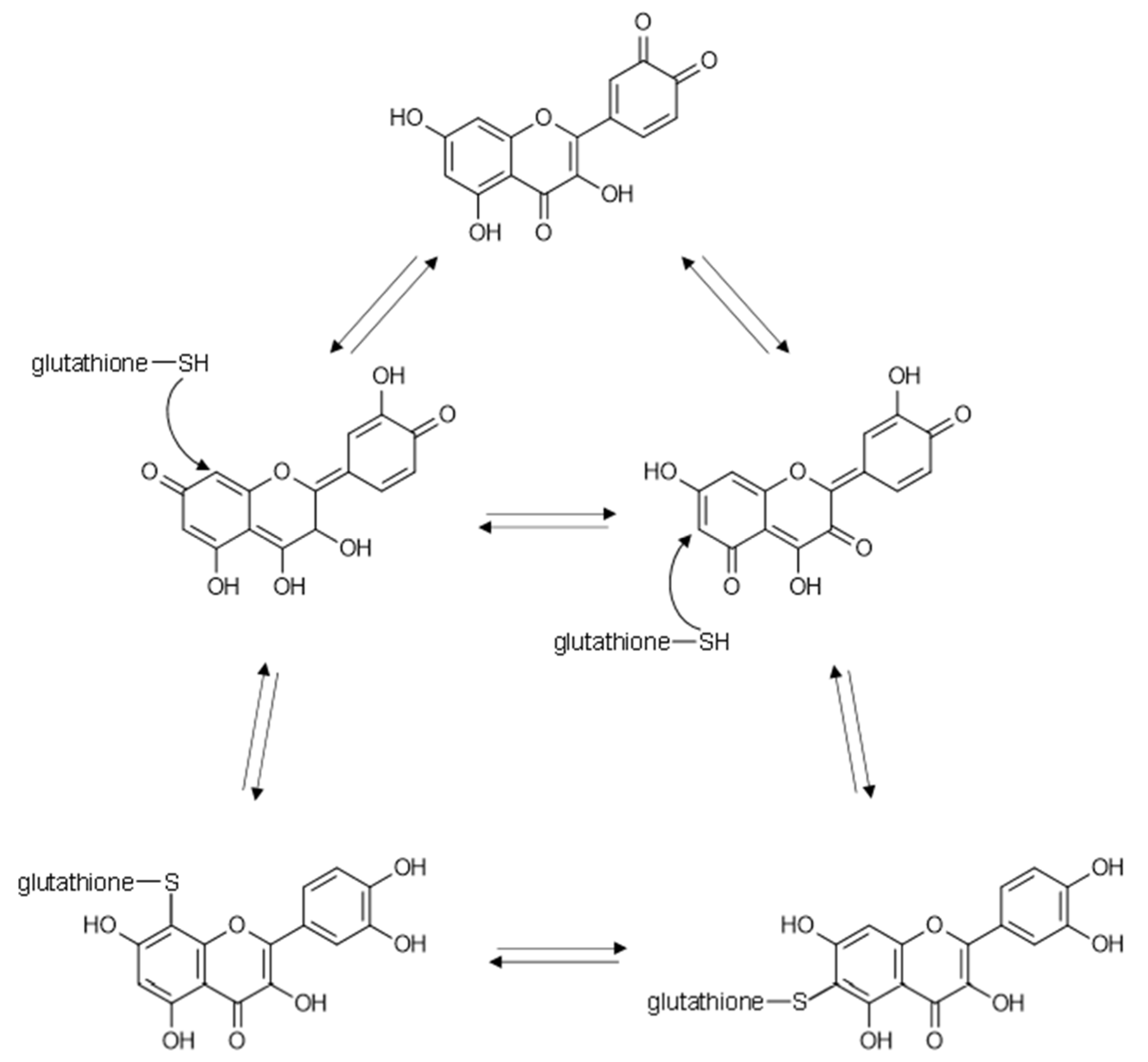 Molecules 26 05102 g004 Molecules 26 05102 g004
