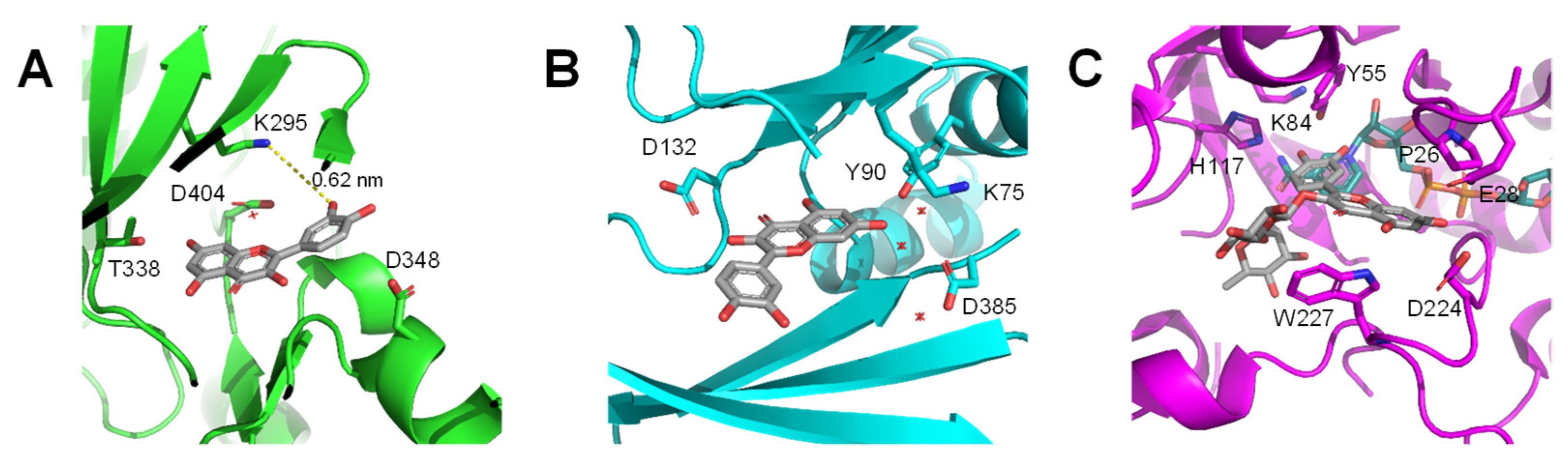 Molecules 26 05102 g005 Molecules 26 05102 g005