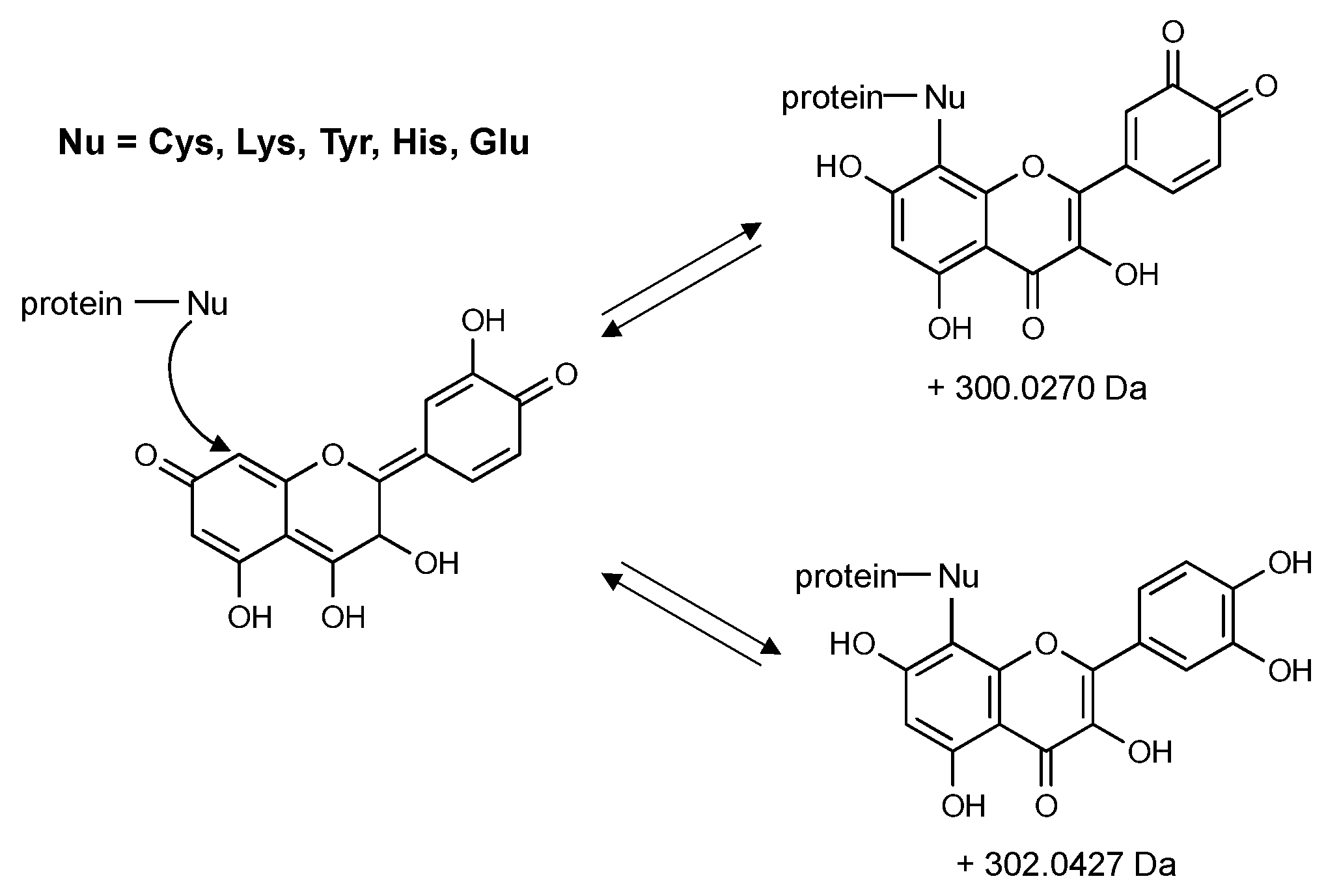 Molecules 26 05102 g007 Molecules 26 05102 g007