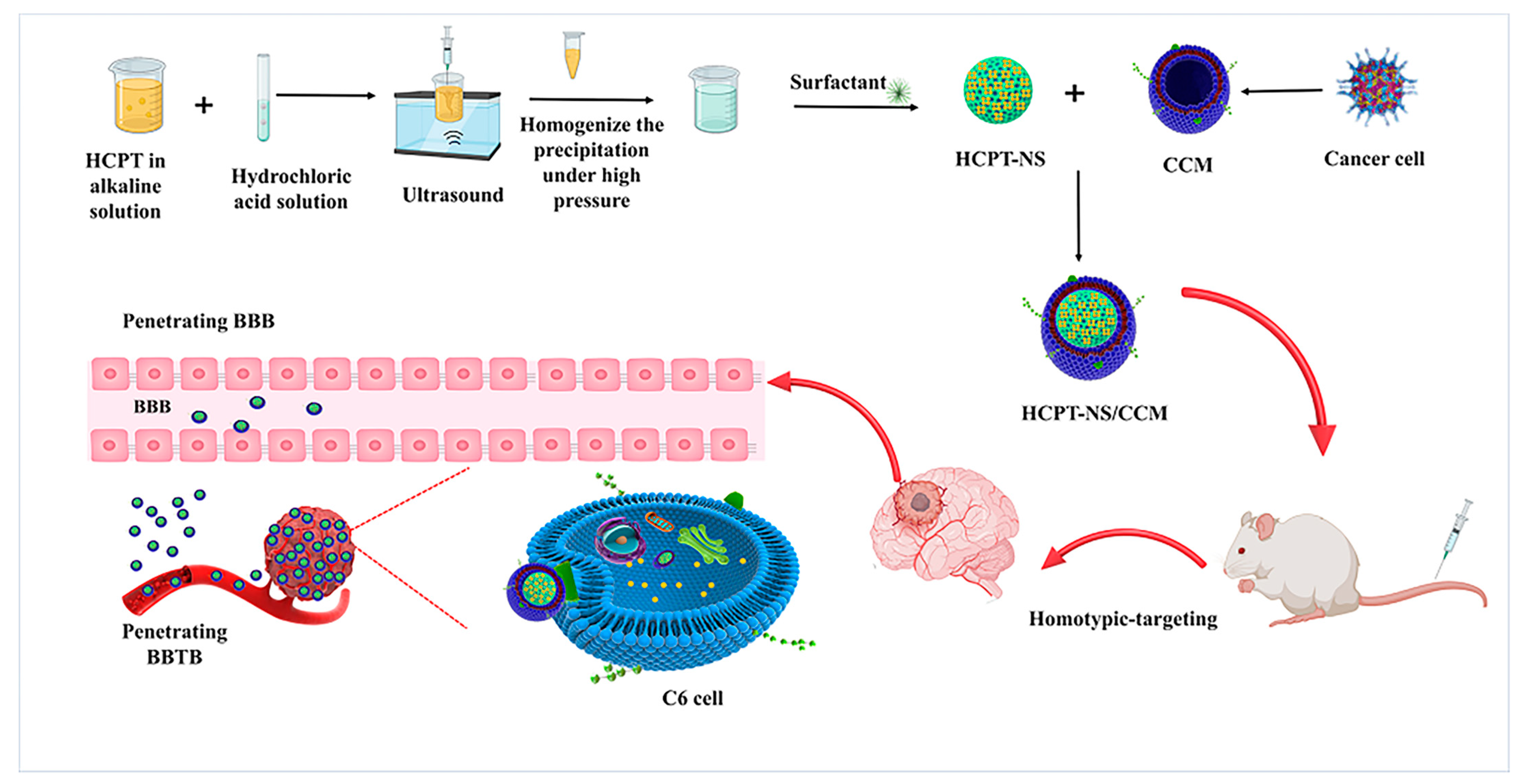 Molecules 26 05103 g001
