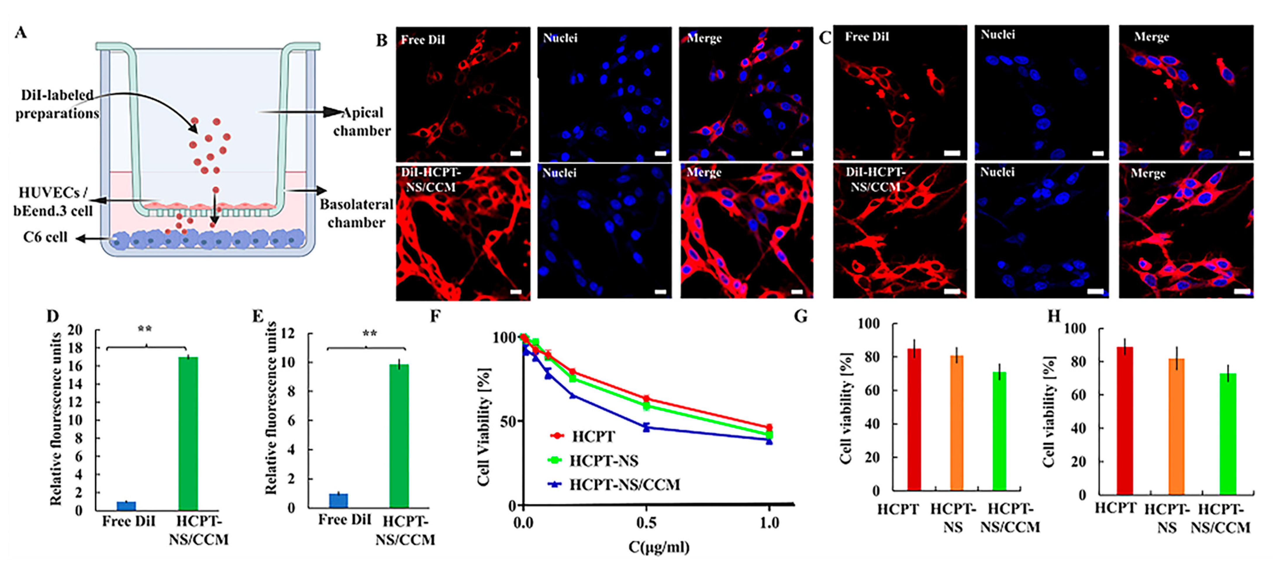 Molecules 26 05103 g004