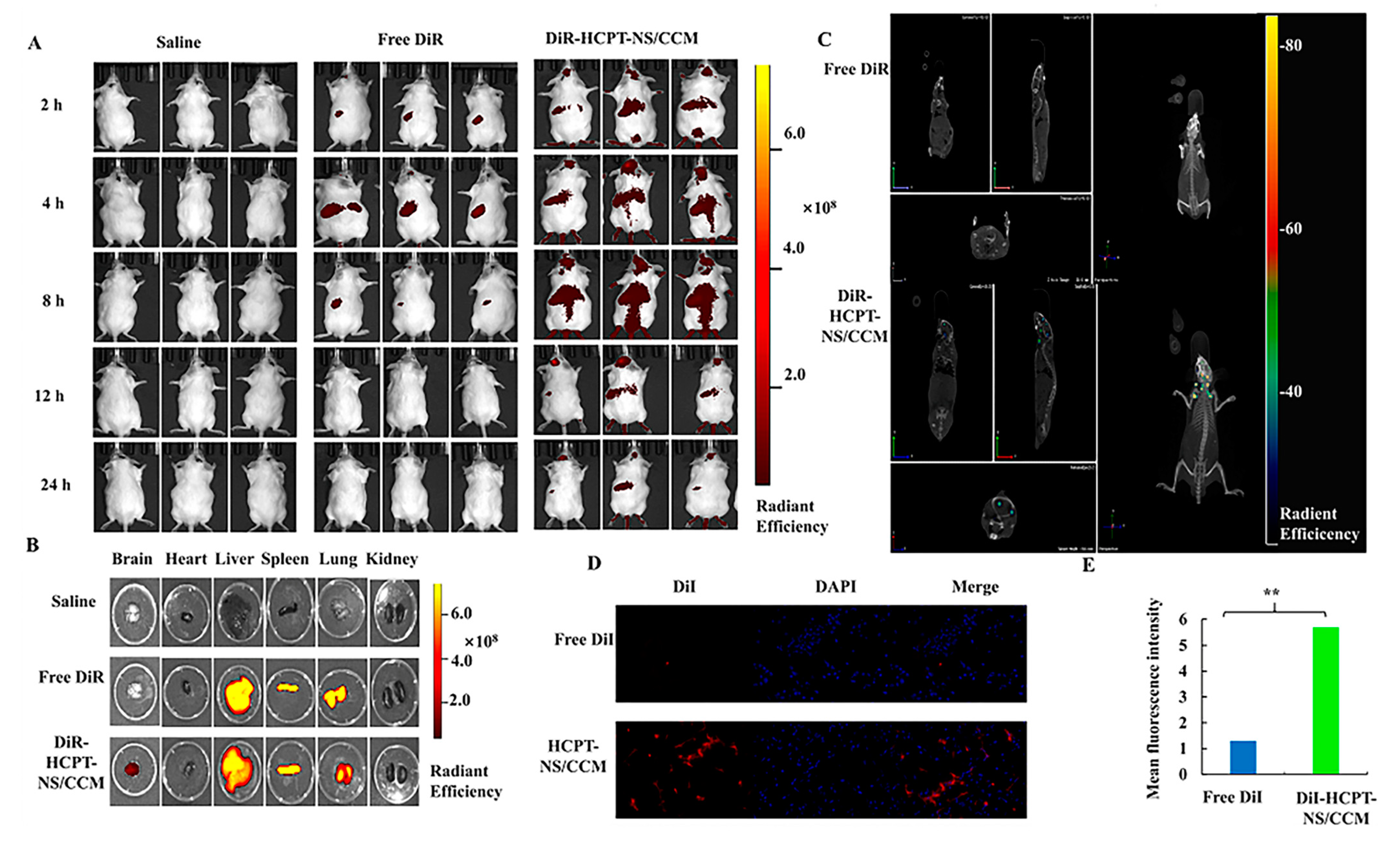 Molecules 26 05103 g005