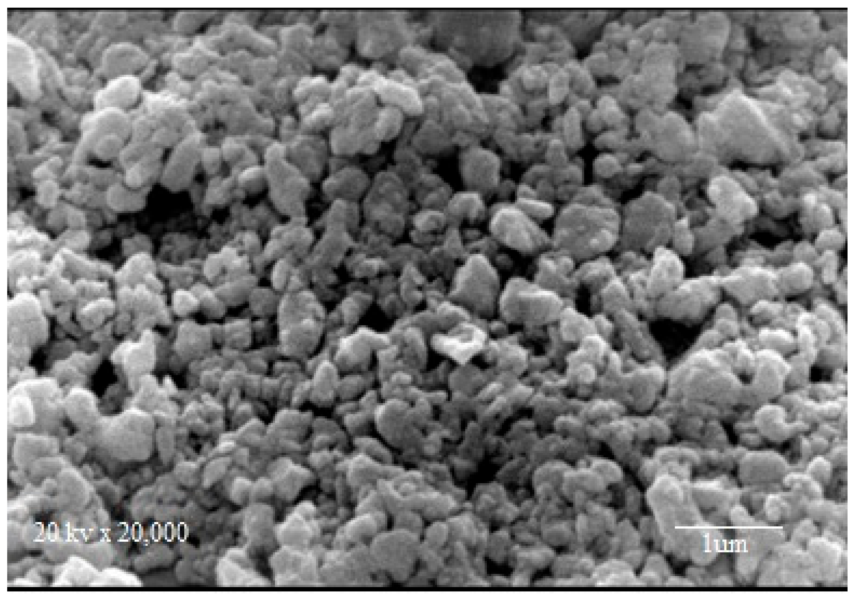 Molecules 26 05105 g004