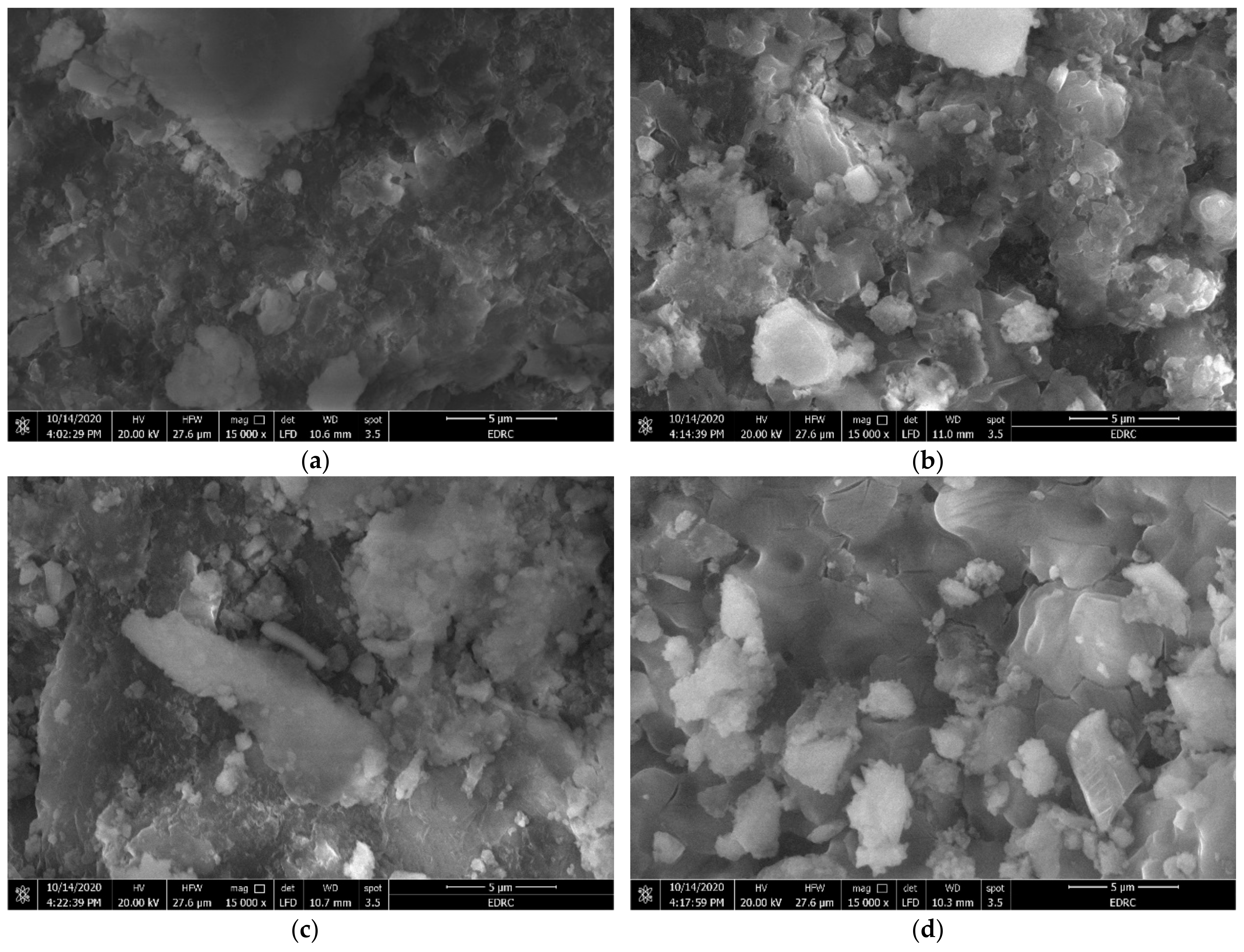 Molecules 26 05105 g010