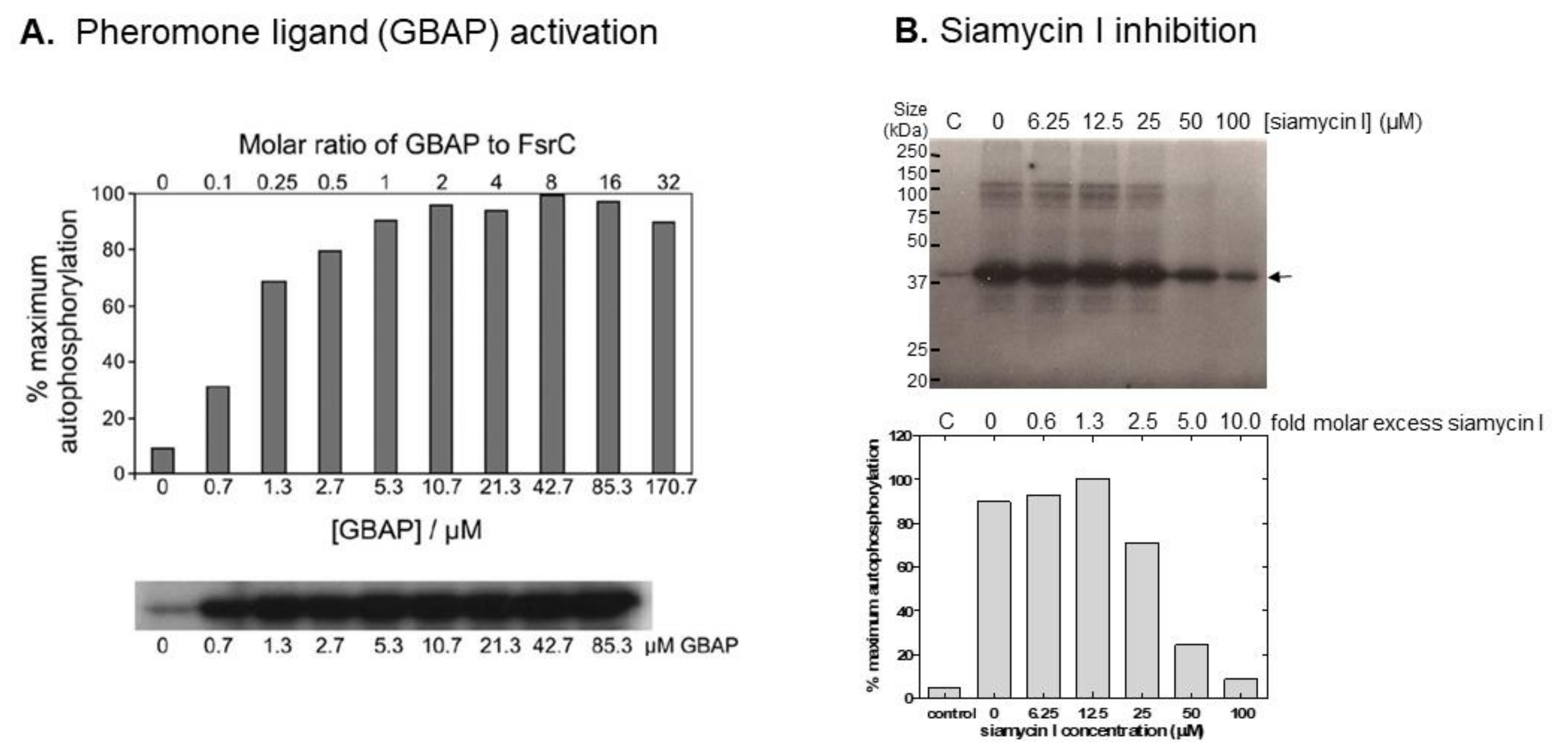 Molecules 26 05110 g002 Molecules 26 05110 g002