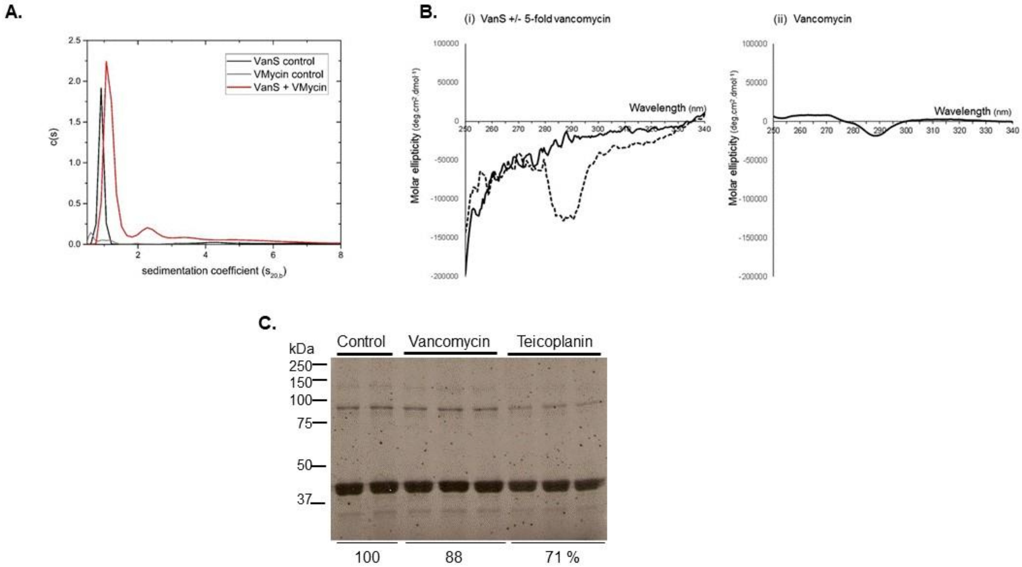 Molecules 26 05110 g004 Molecules 26 05110 g004