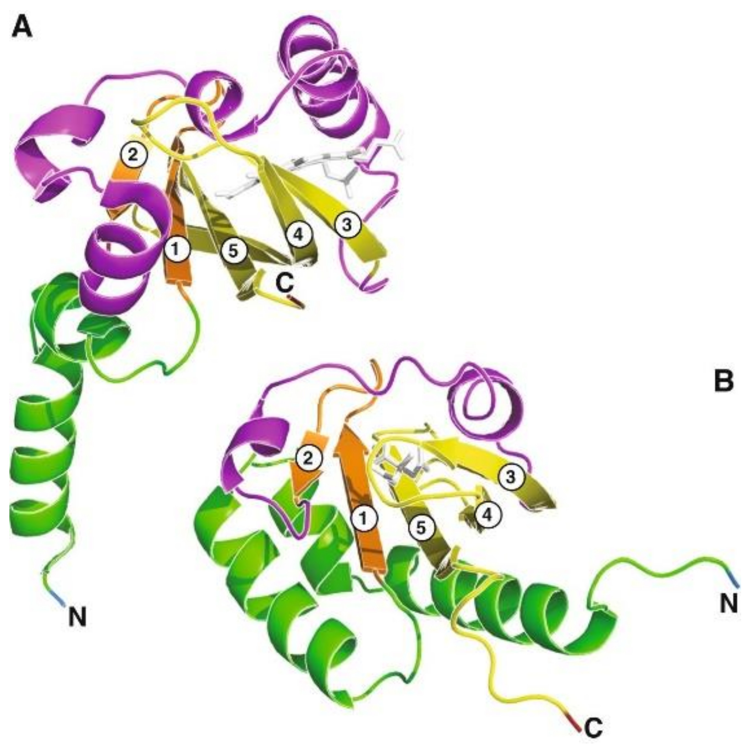 Molecules 26 05110 g008 Molecules 26 05110 g008