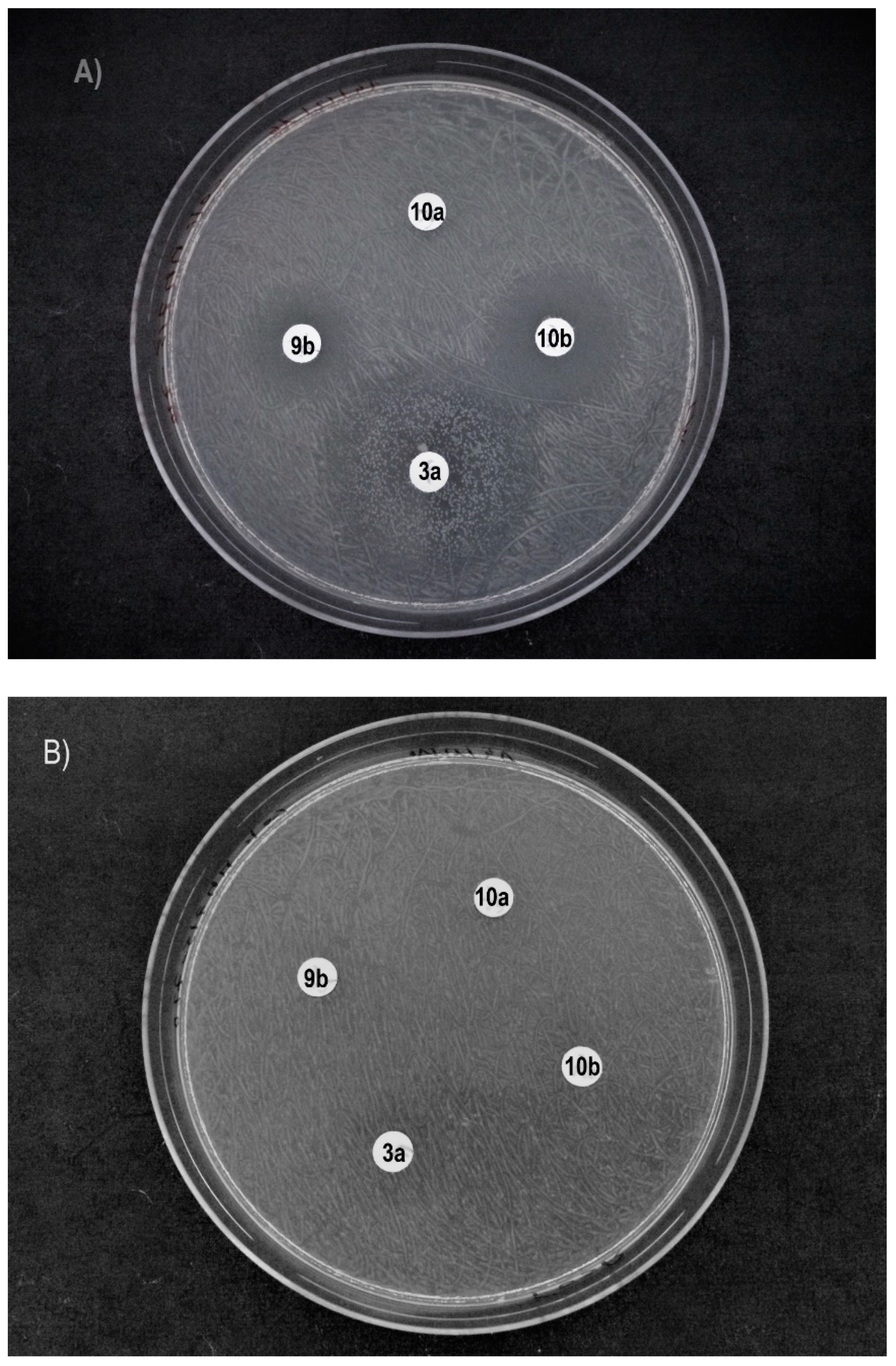 Molecules 26 05111 g001
