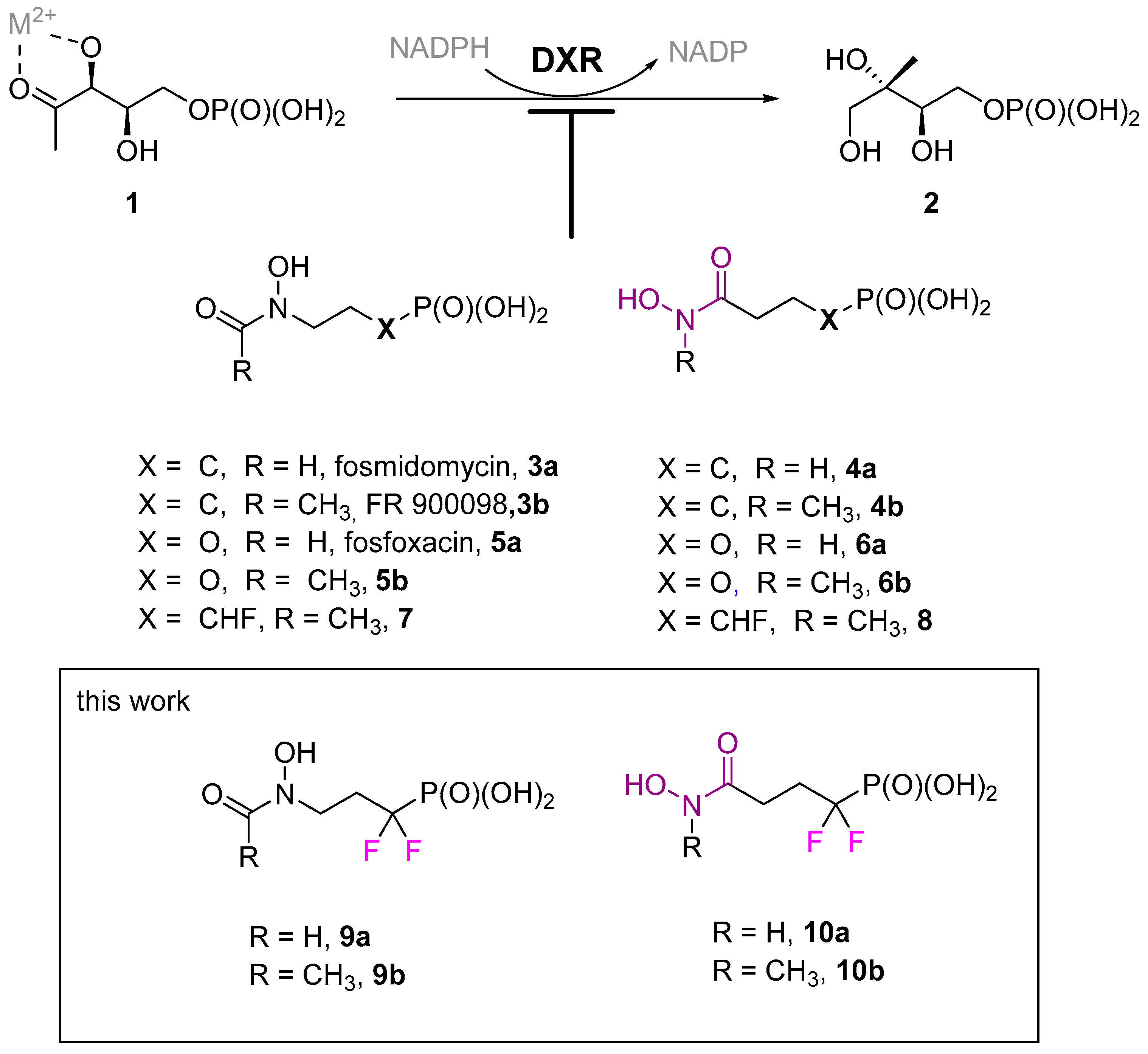 Molecules 26 05111 sch001