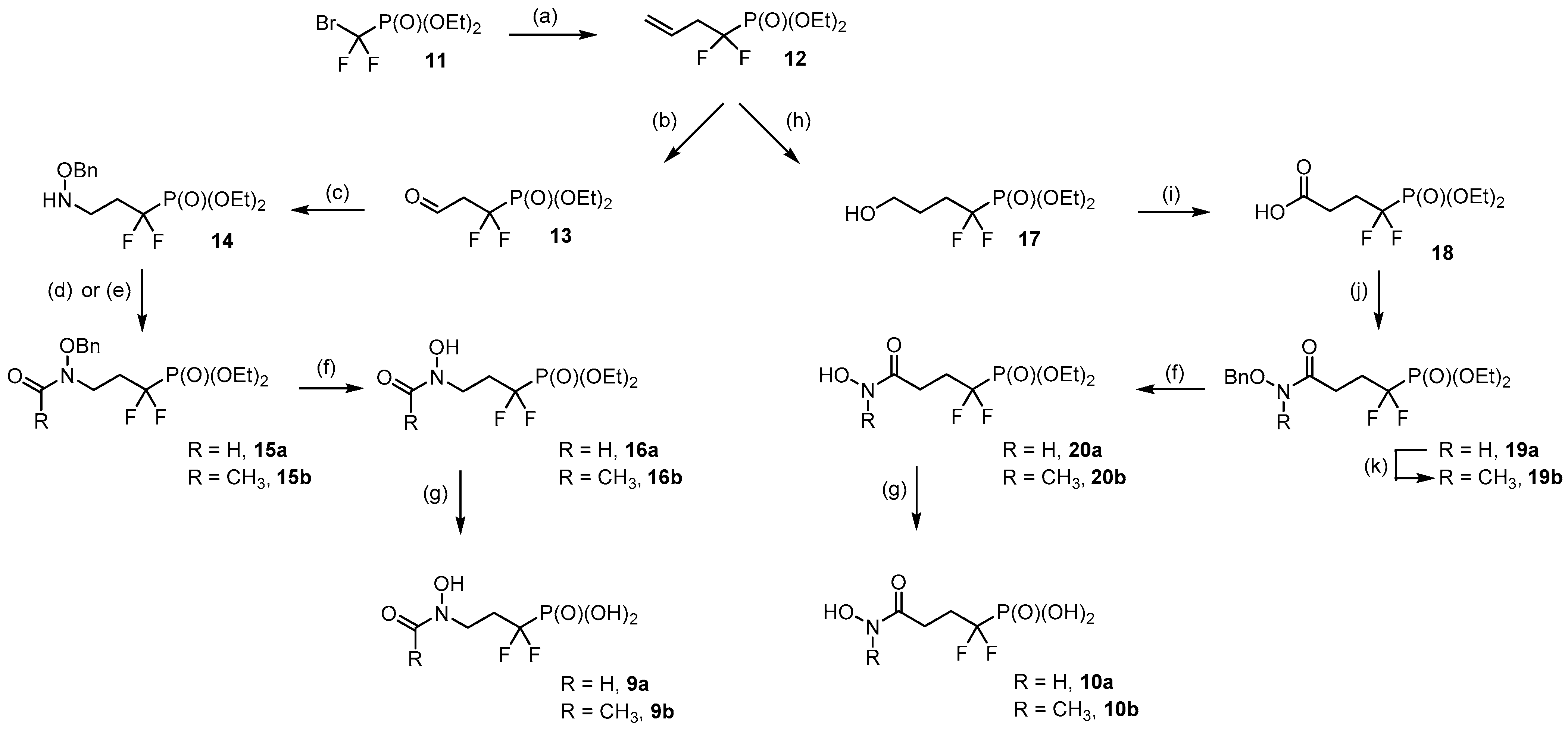 Molecules 26 05111 sch002