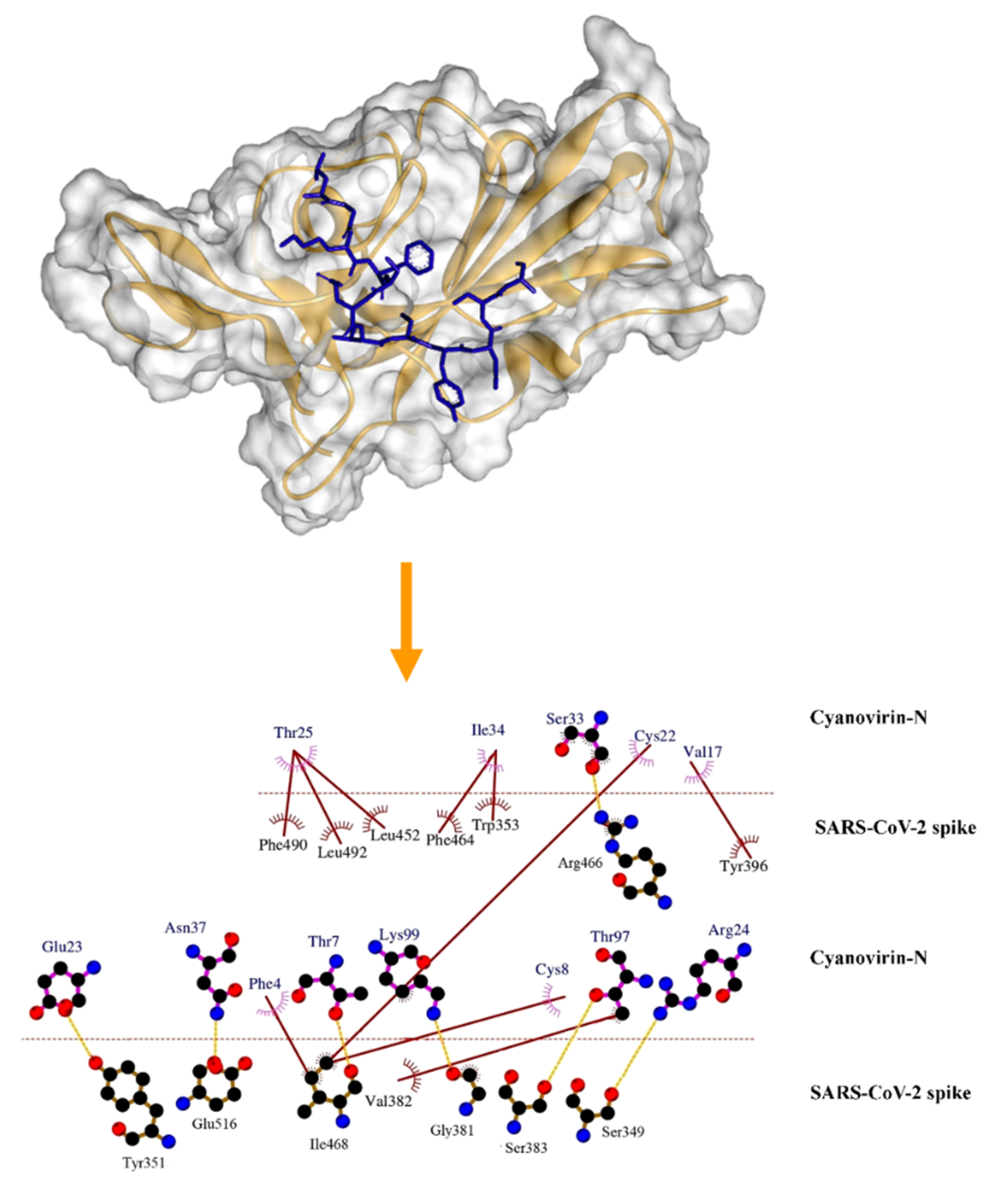 Molecules 26 05114 g002