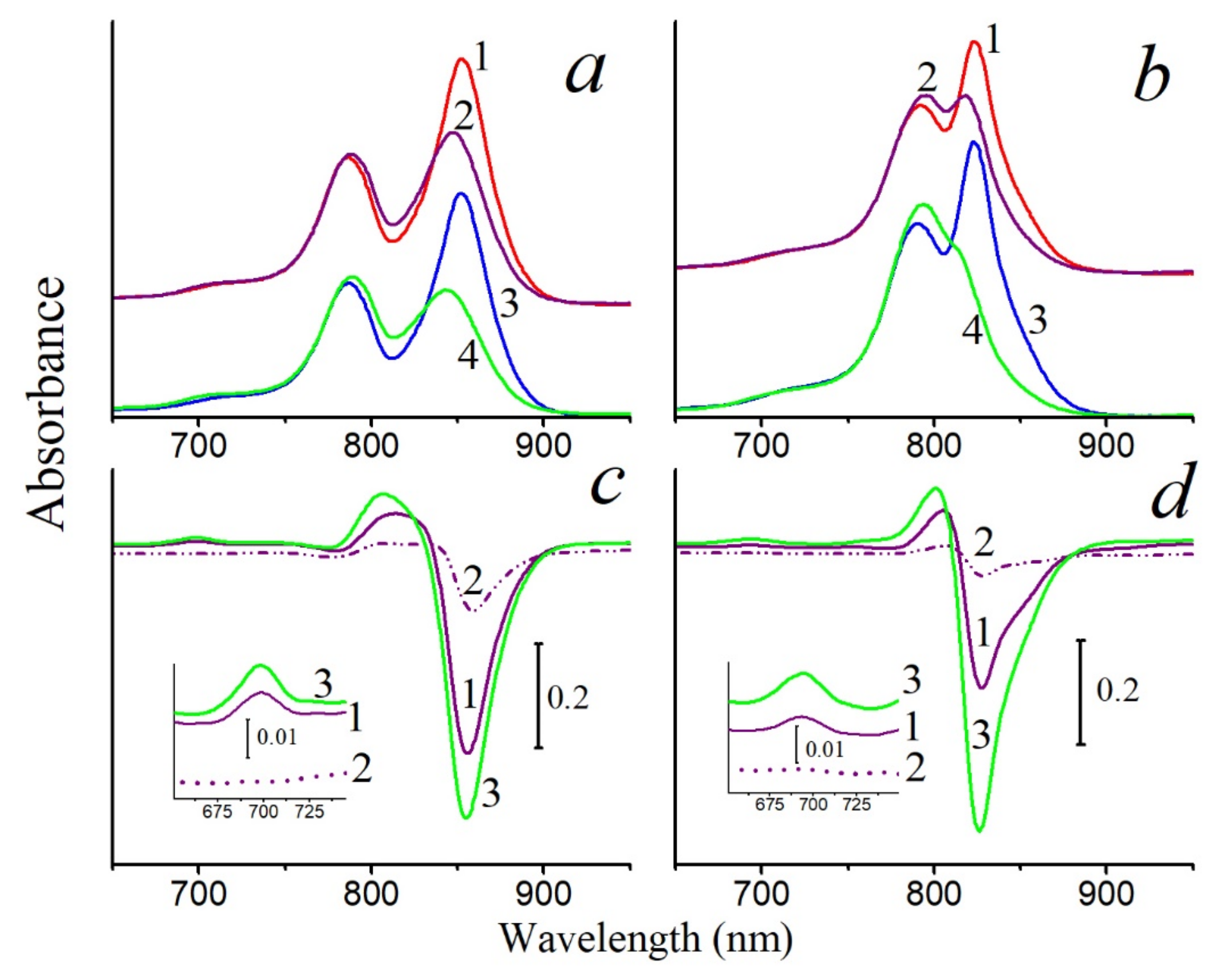 Molecules 26 05120 g002