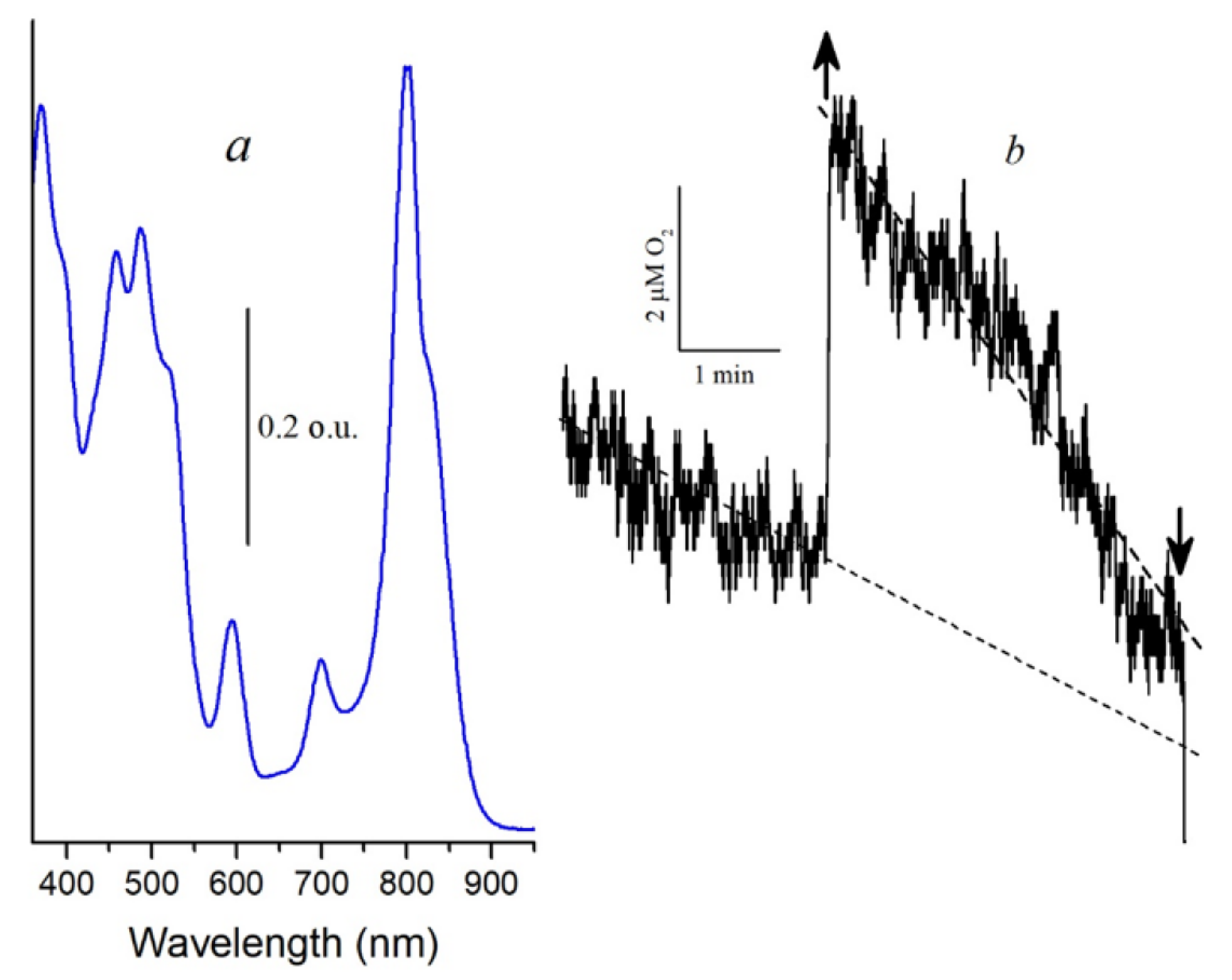 Molecules 26 05120 g007