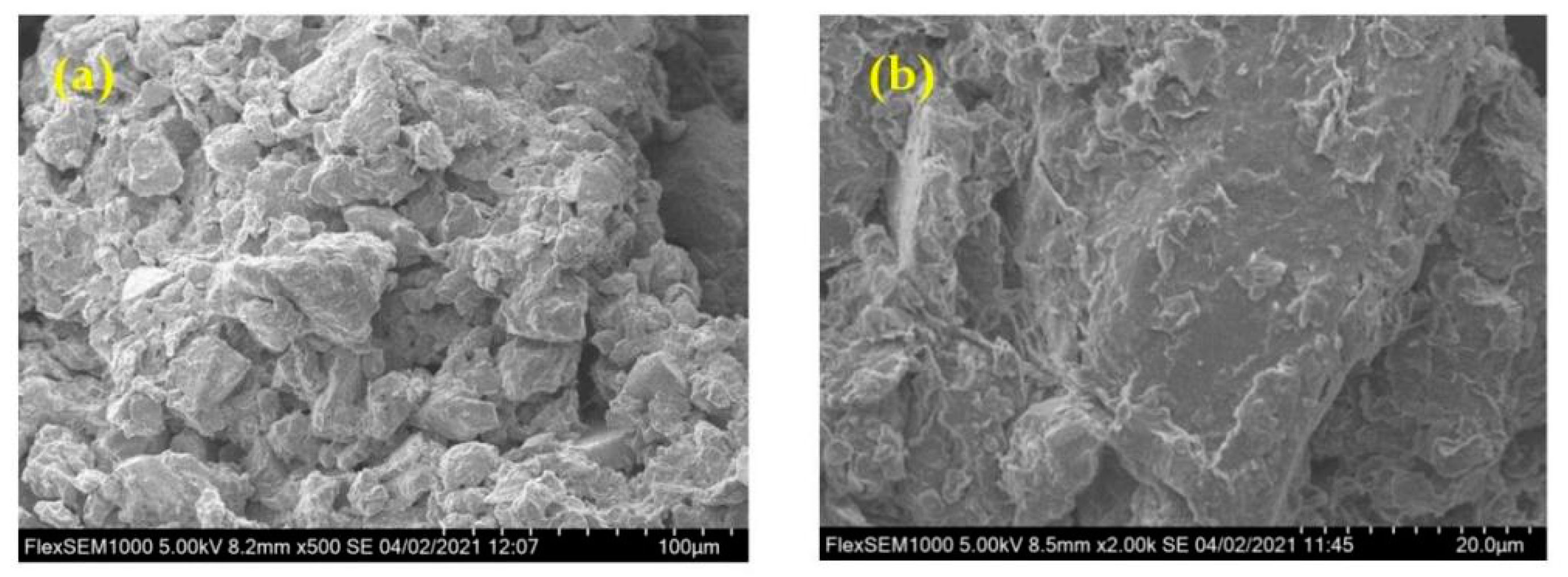 Molecules 26 05127 g005