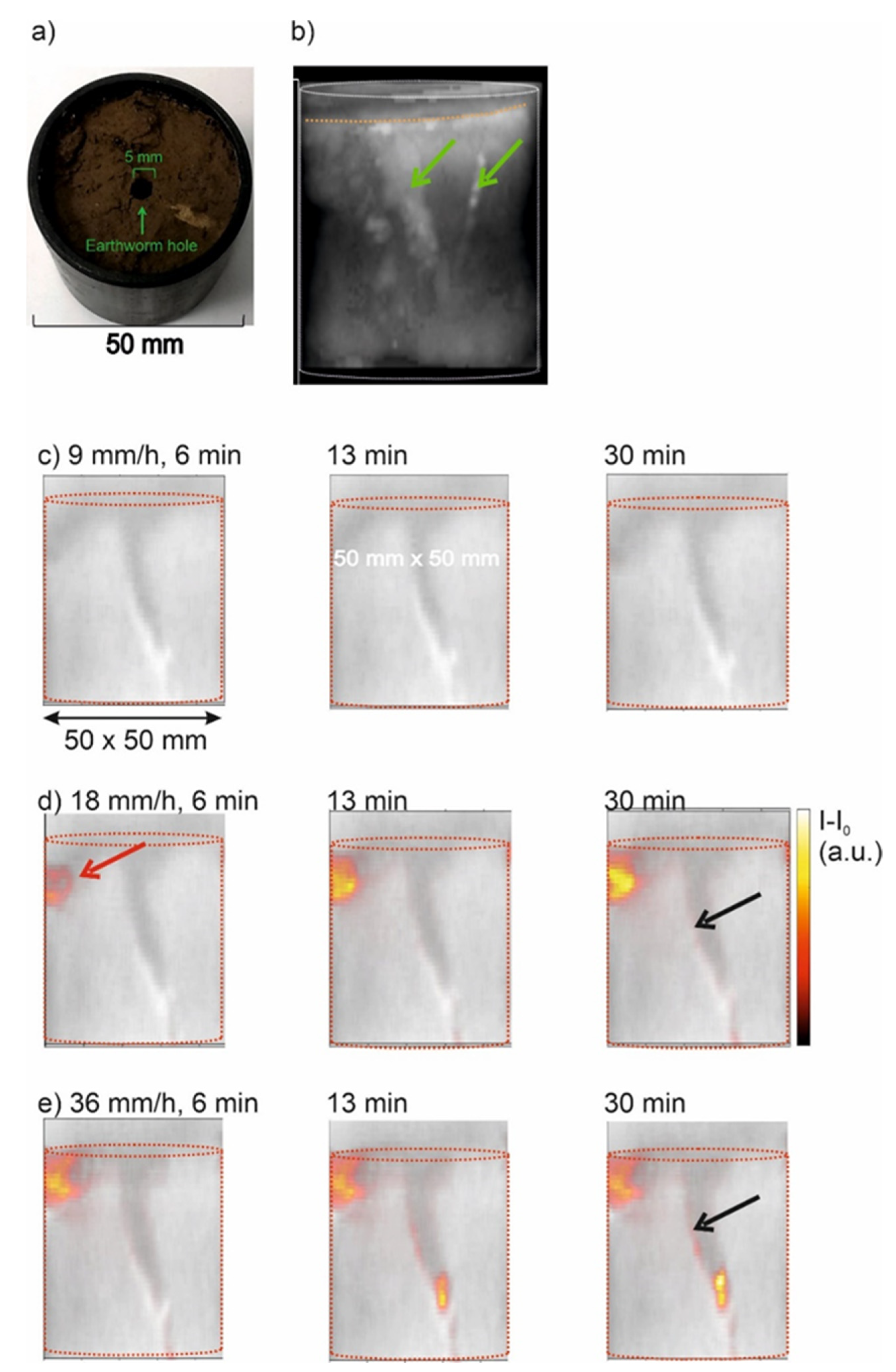 Molecules 26 05130 g006