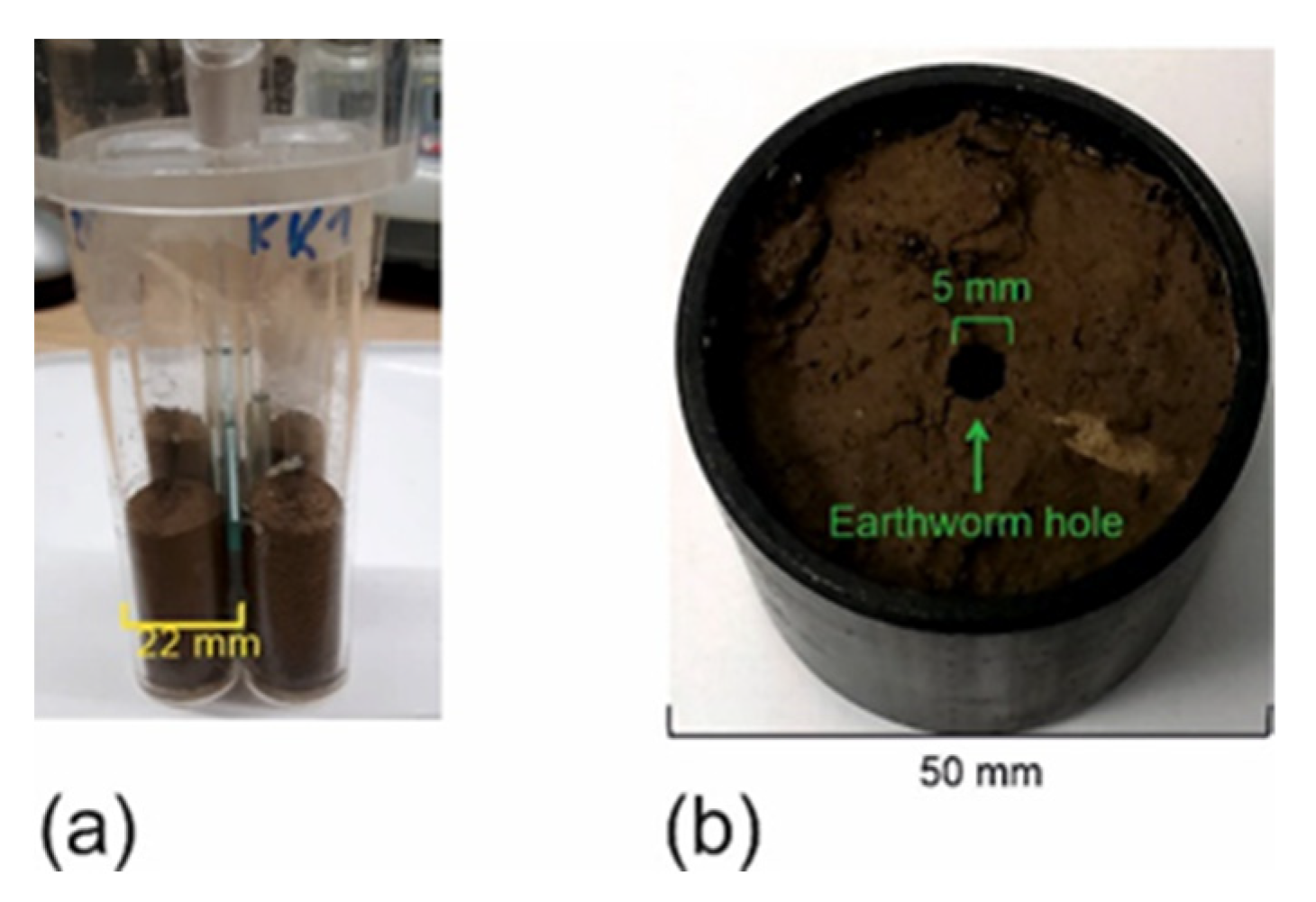 Molecules 26 05130 g008