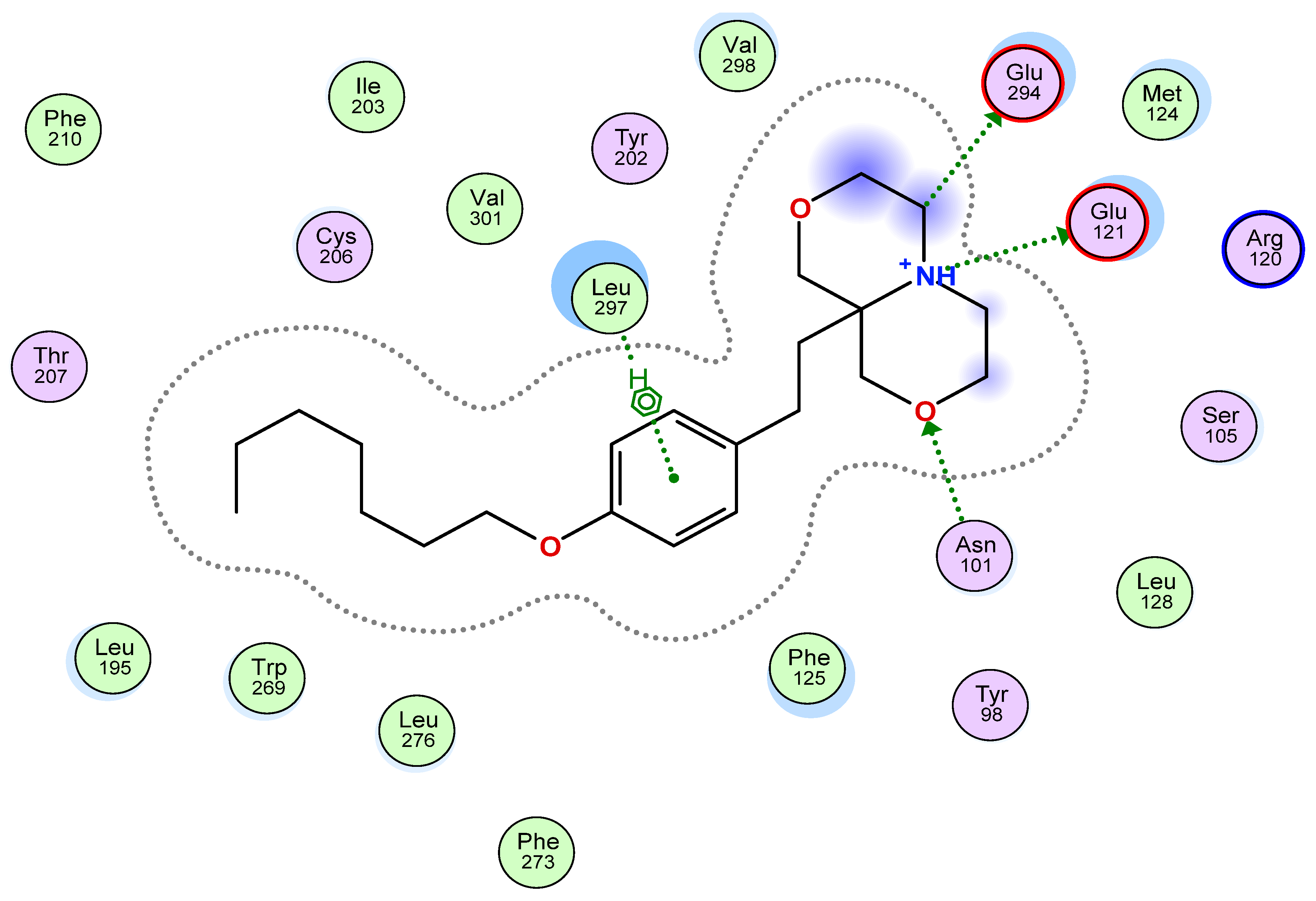 Molecules 26 05134 g002 550