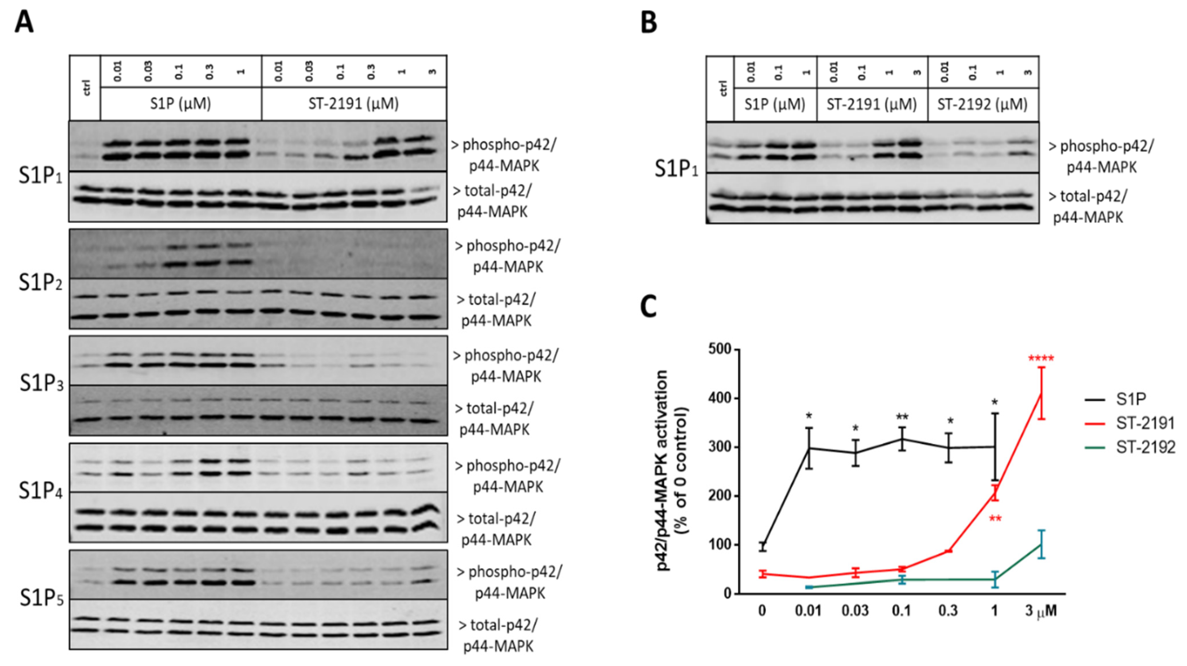 Molecules 26 05134 g003 550
