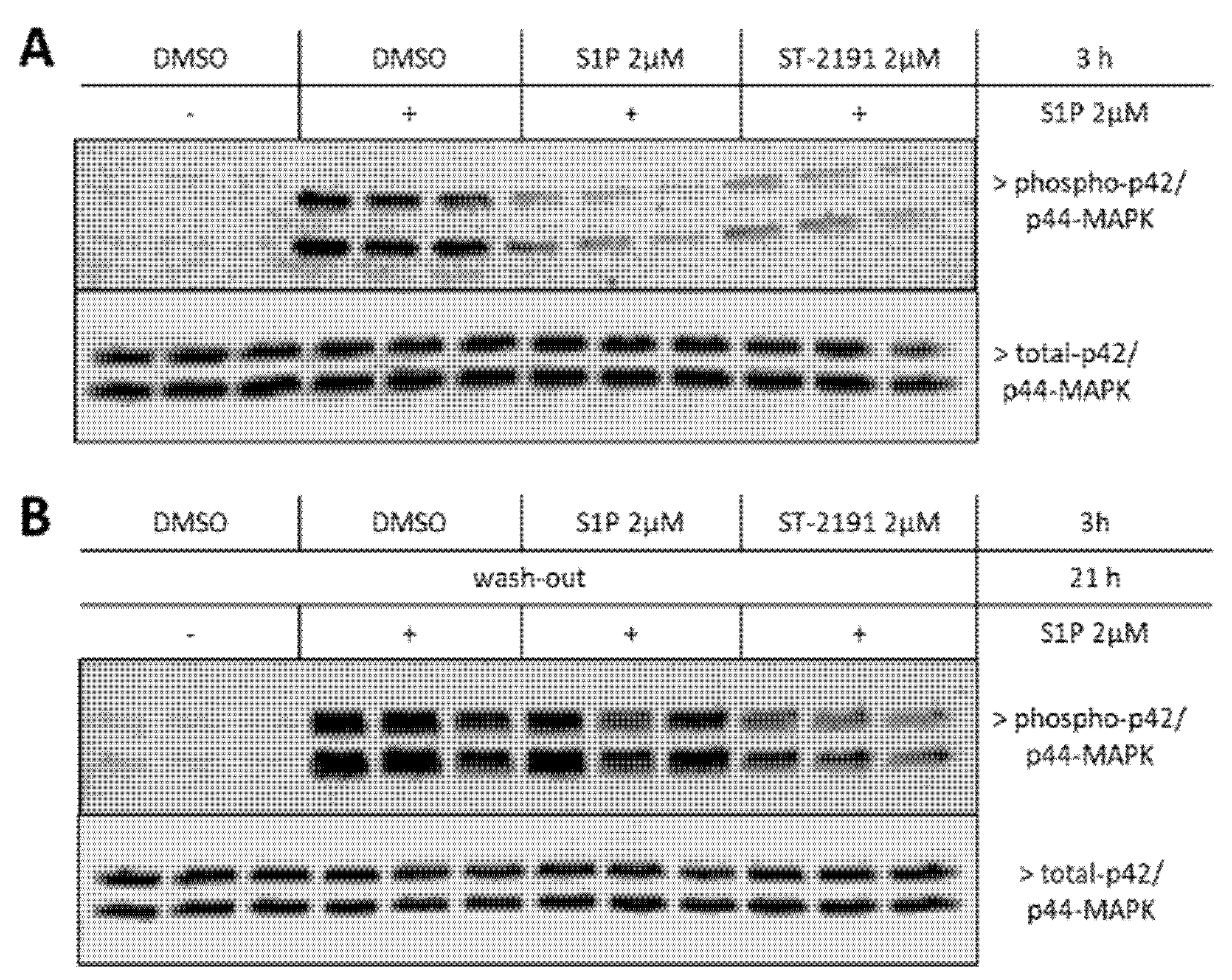 Molecules 26 05134 g004 550