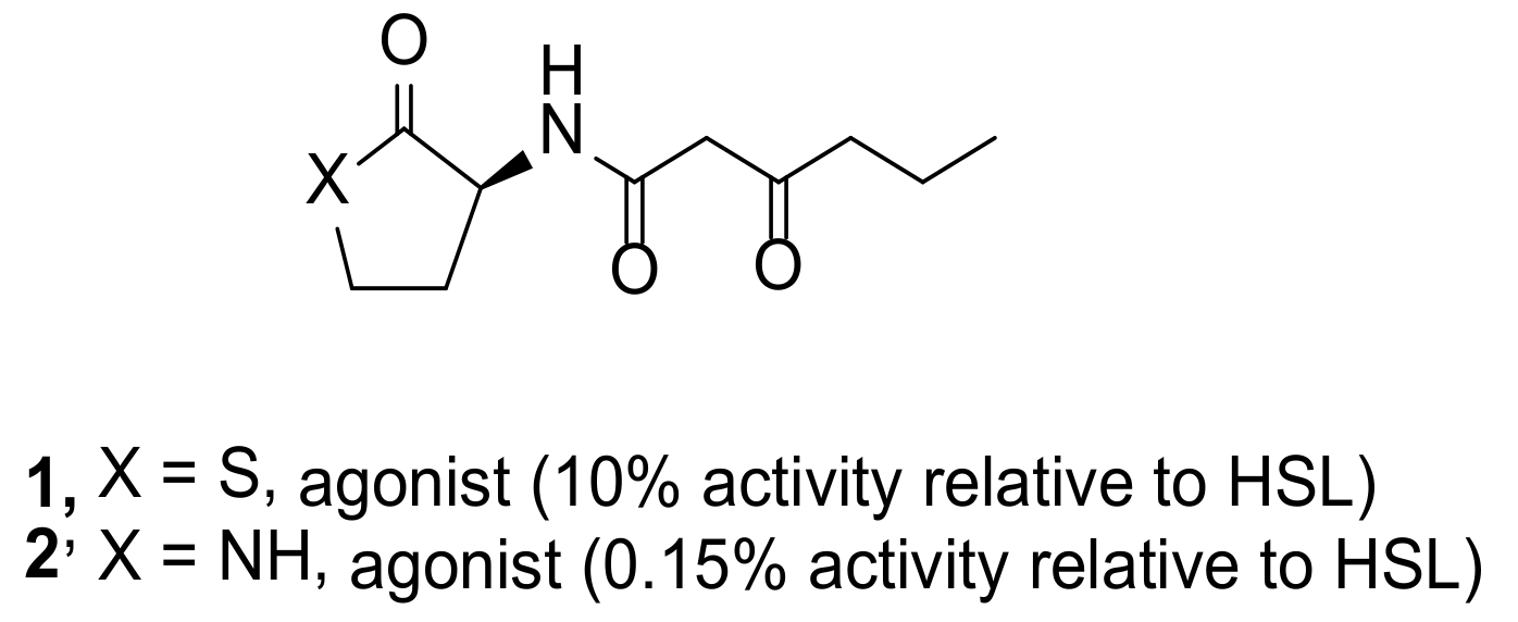 Molecules 26 05135 g003 550