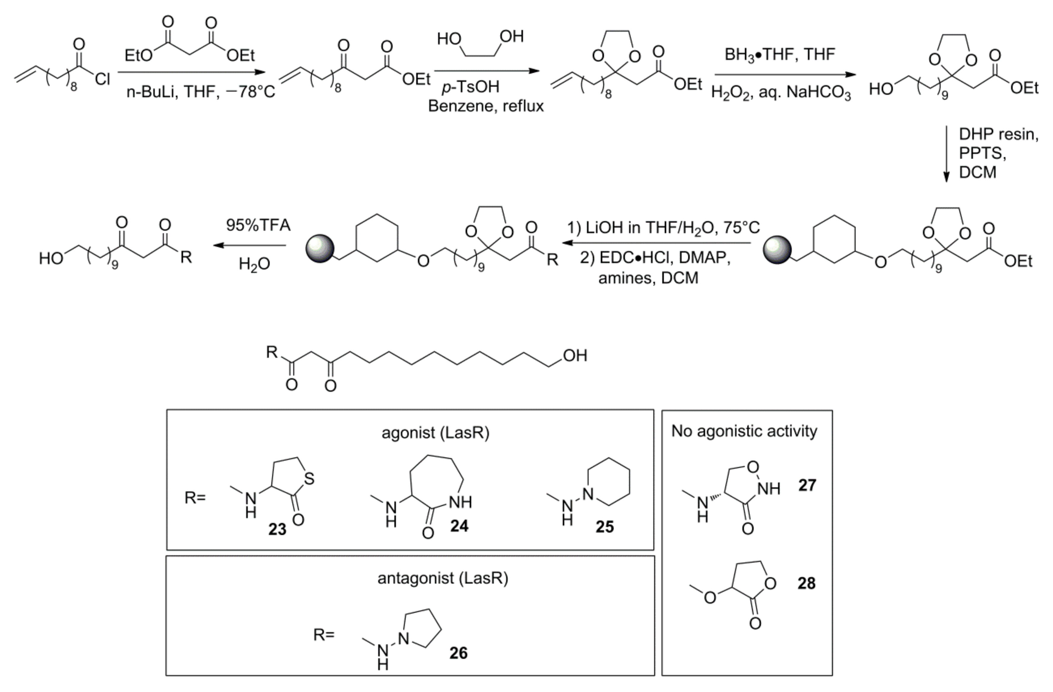 Molecules 26 05135 sch003 550