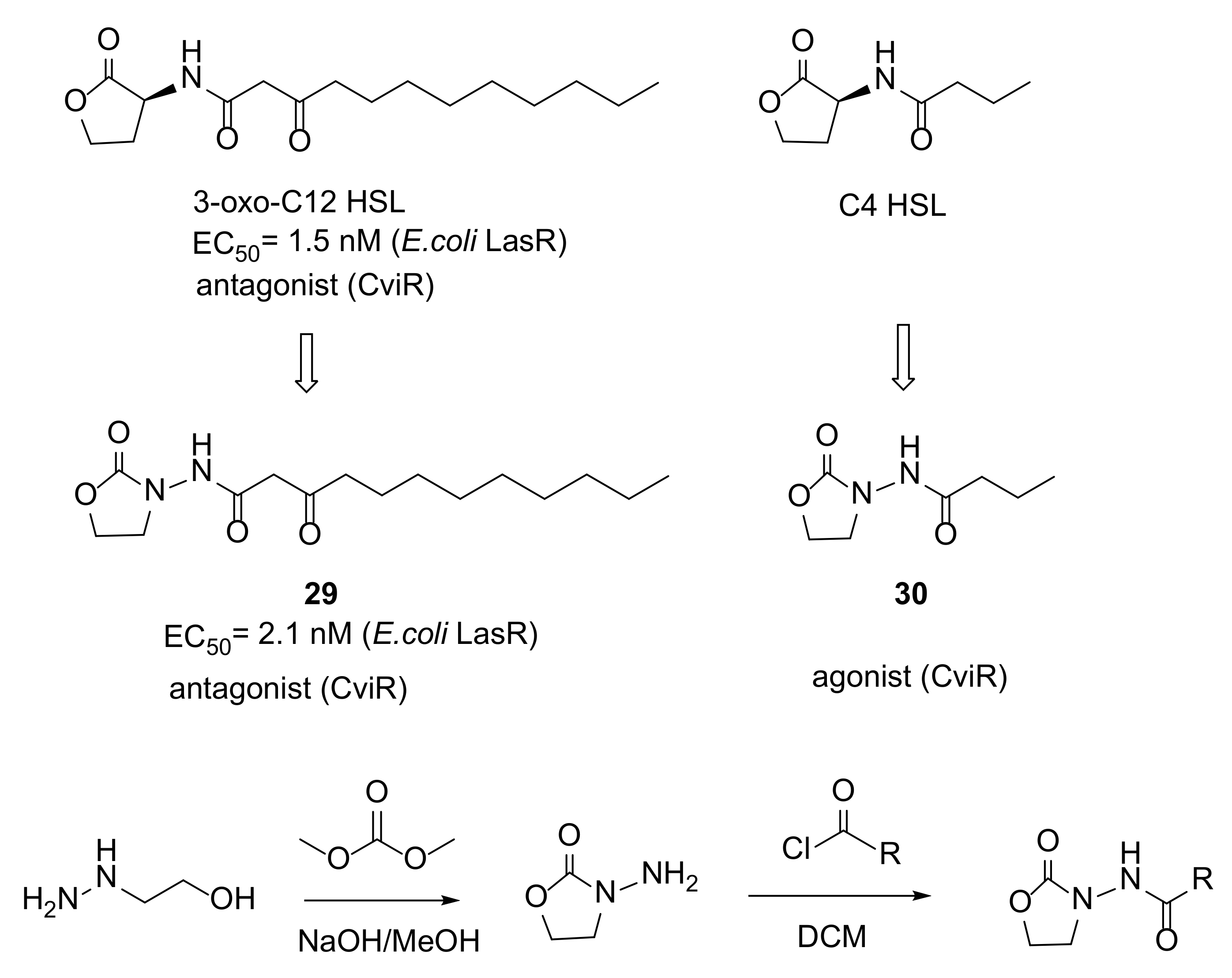 Molecules 26 05135 sch004 550