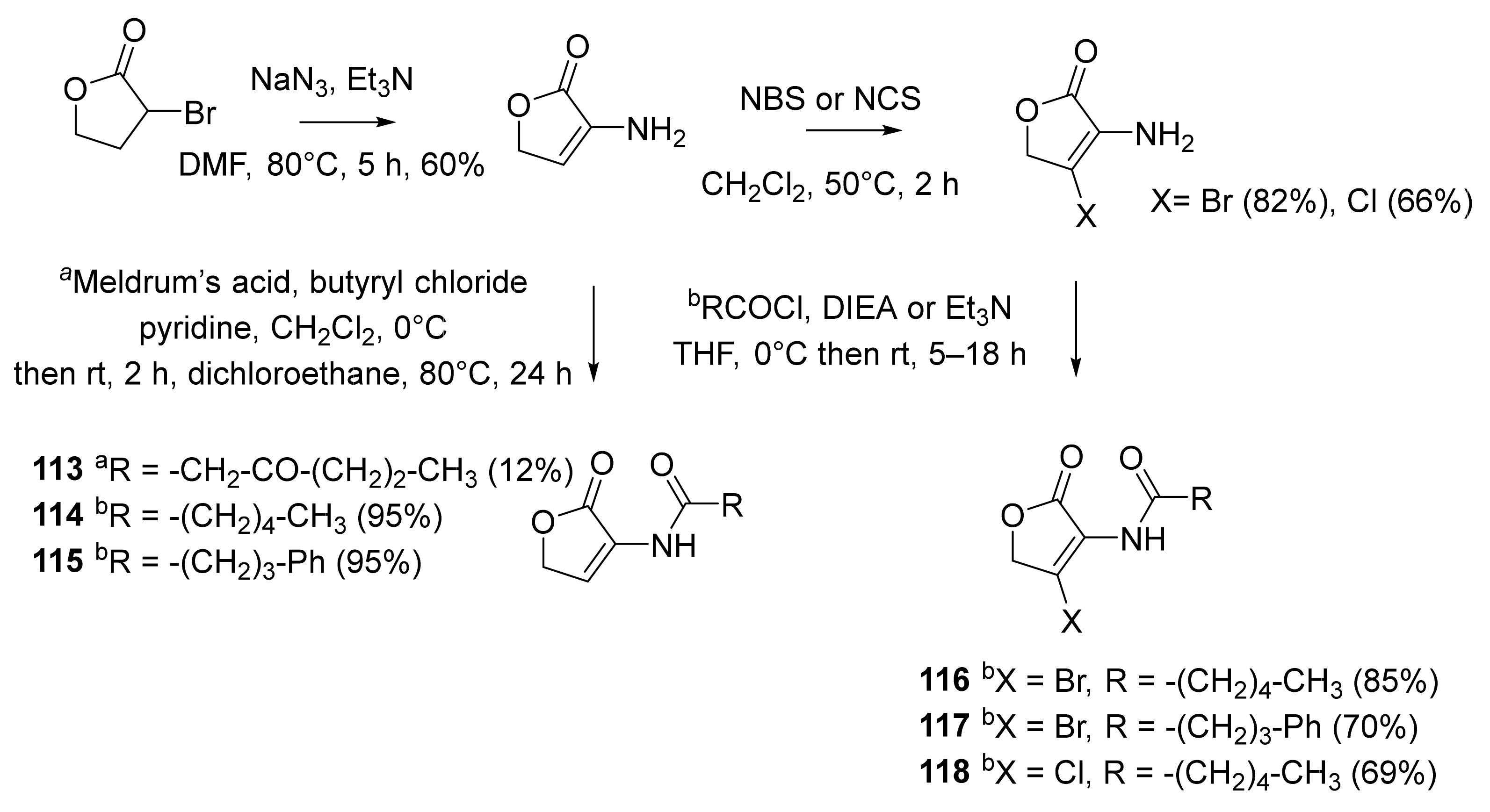 Molecules 26 05135 sch015 550