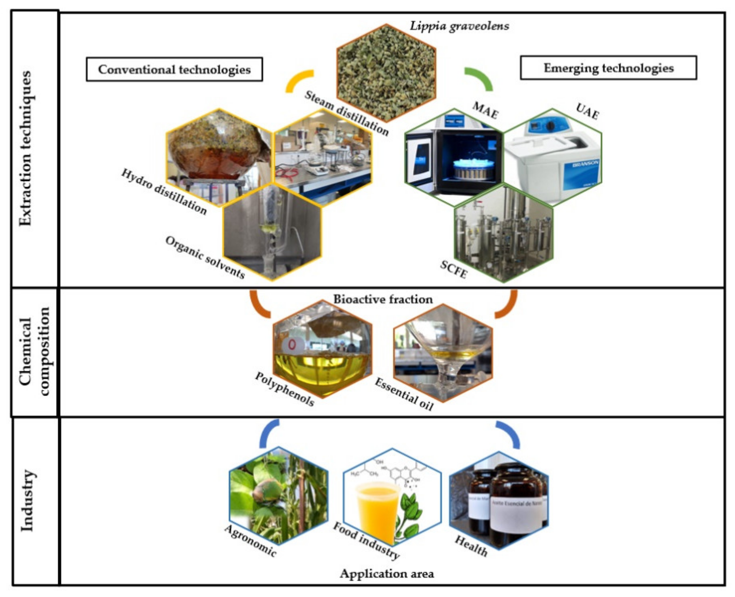 Molecules 26 05156 g003