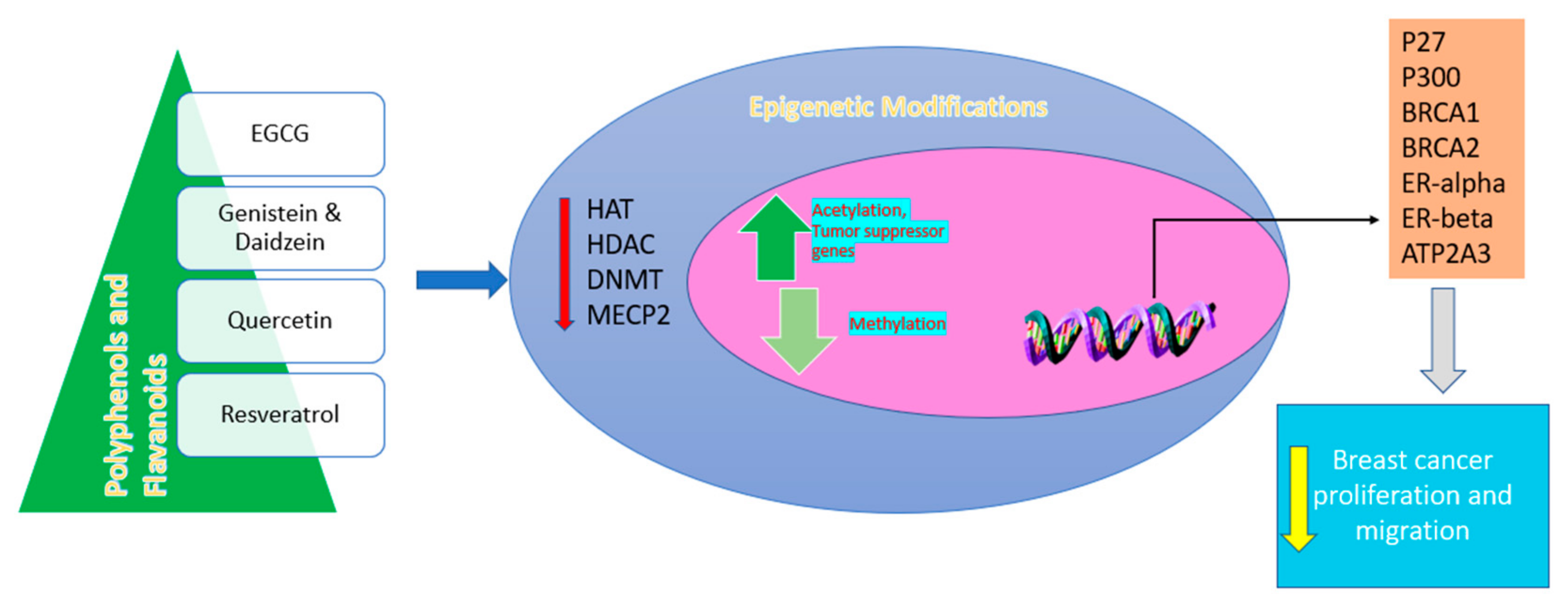Molecules 26 05163 g008