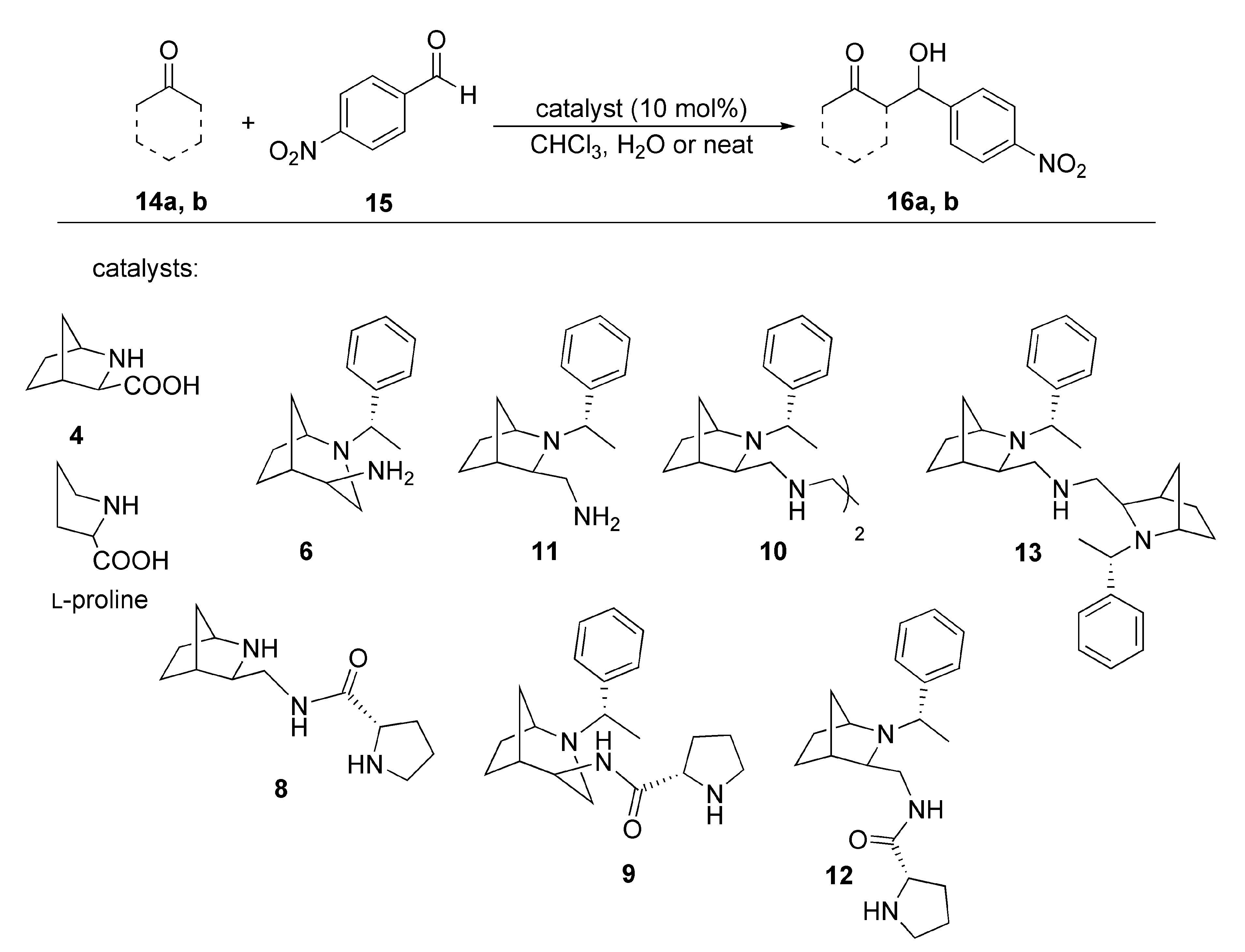 Molecules 26 05166 sch002