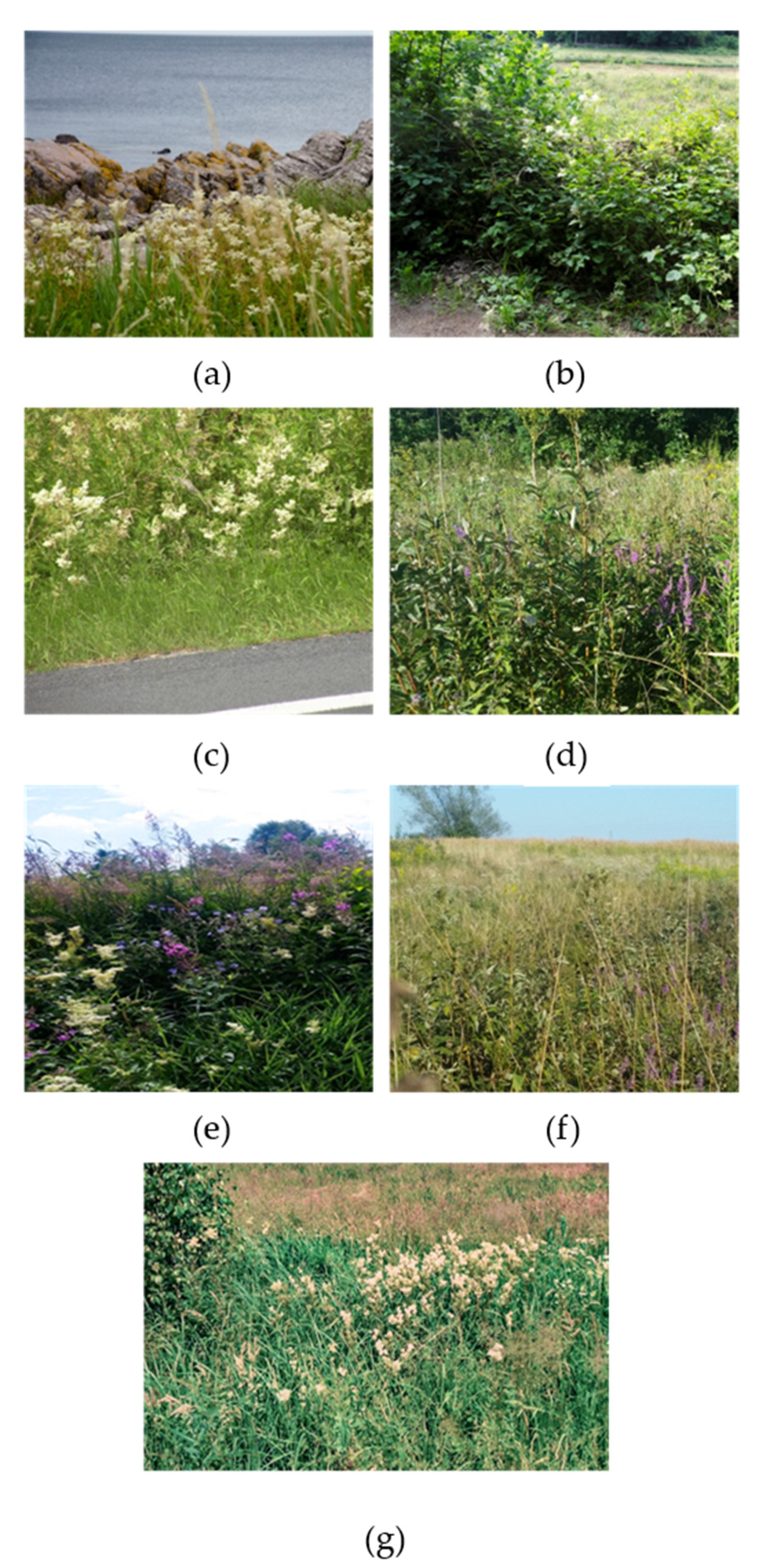 Molecules 26 05172 g006 550