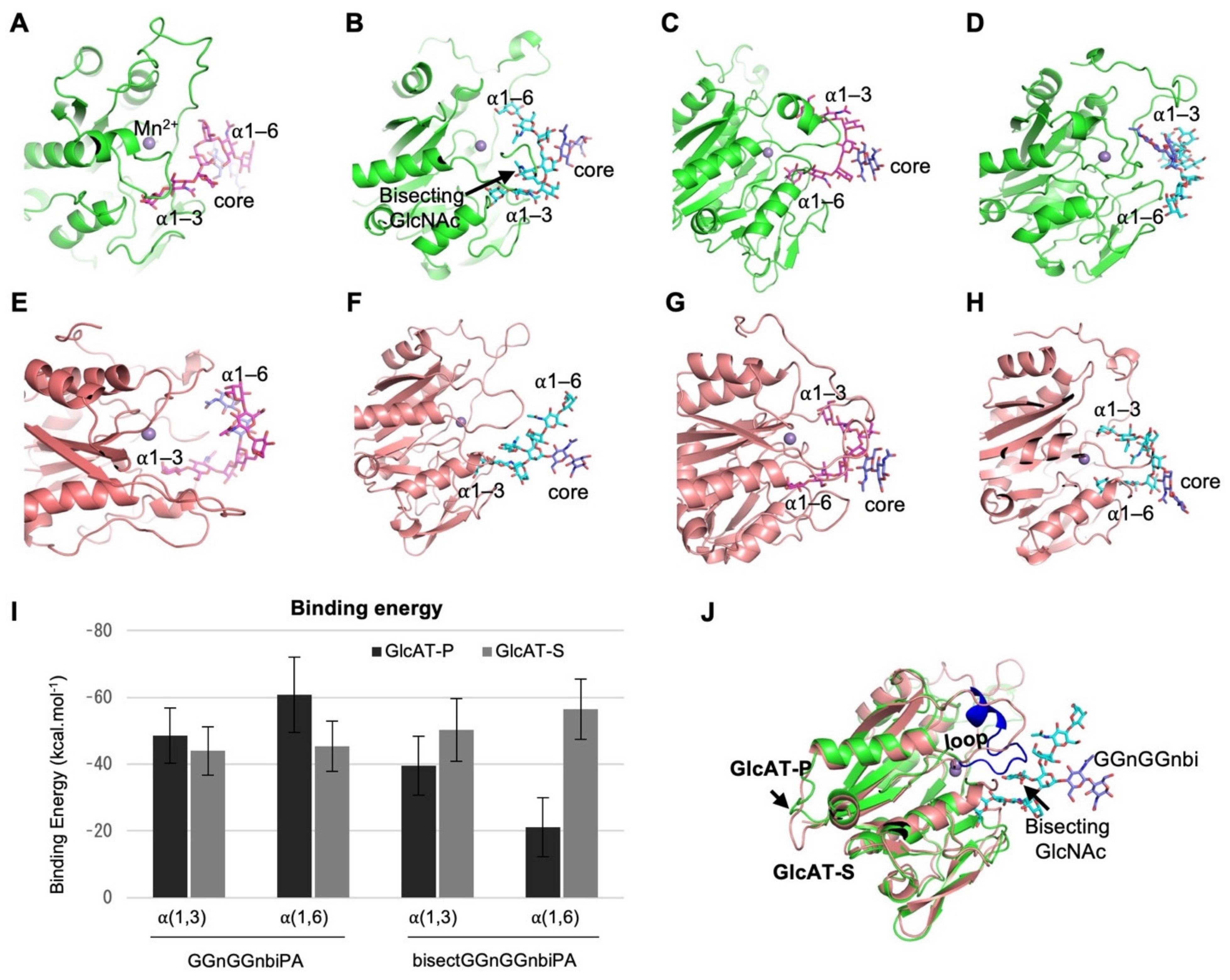 Molecules 26 05176 g004 Molecules 26 05176 g004
