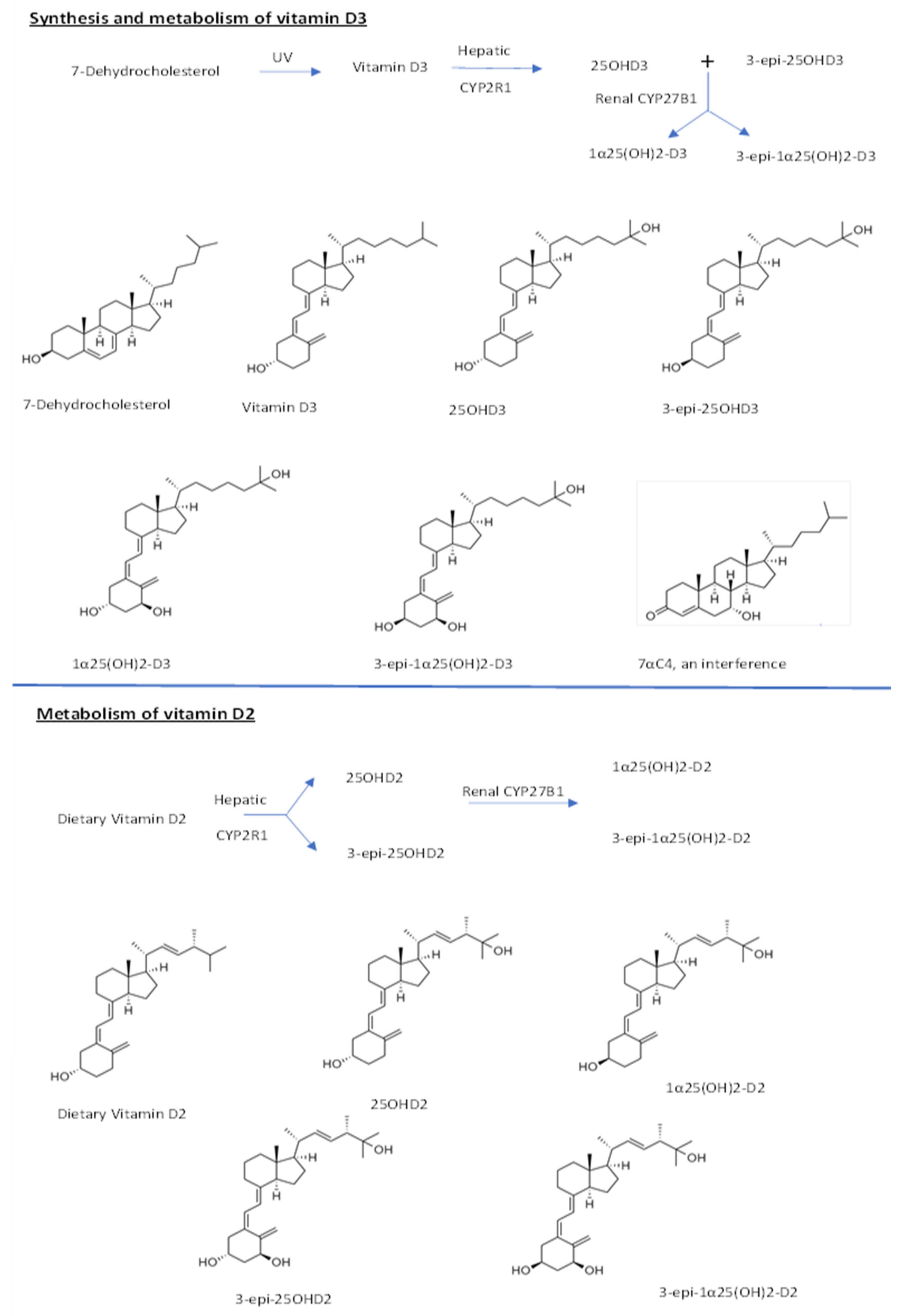 Molecules 26 05182 g001 Molecules 26 05182 g001