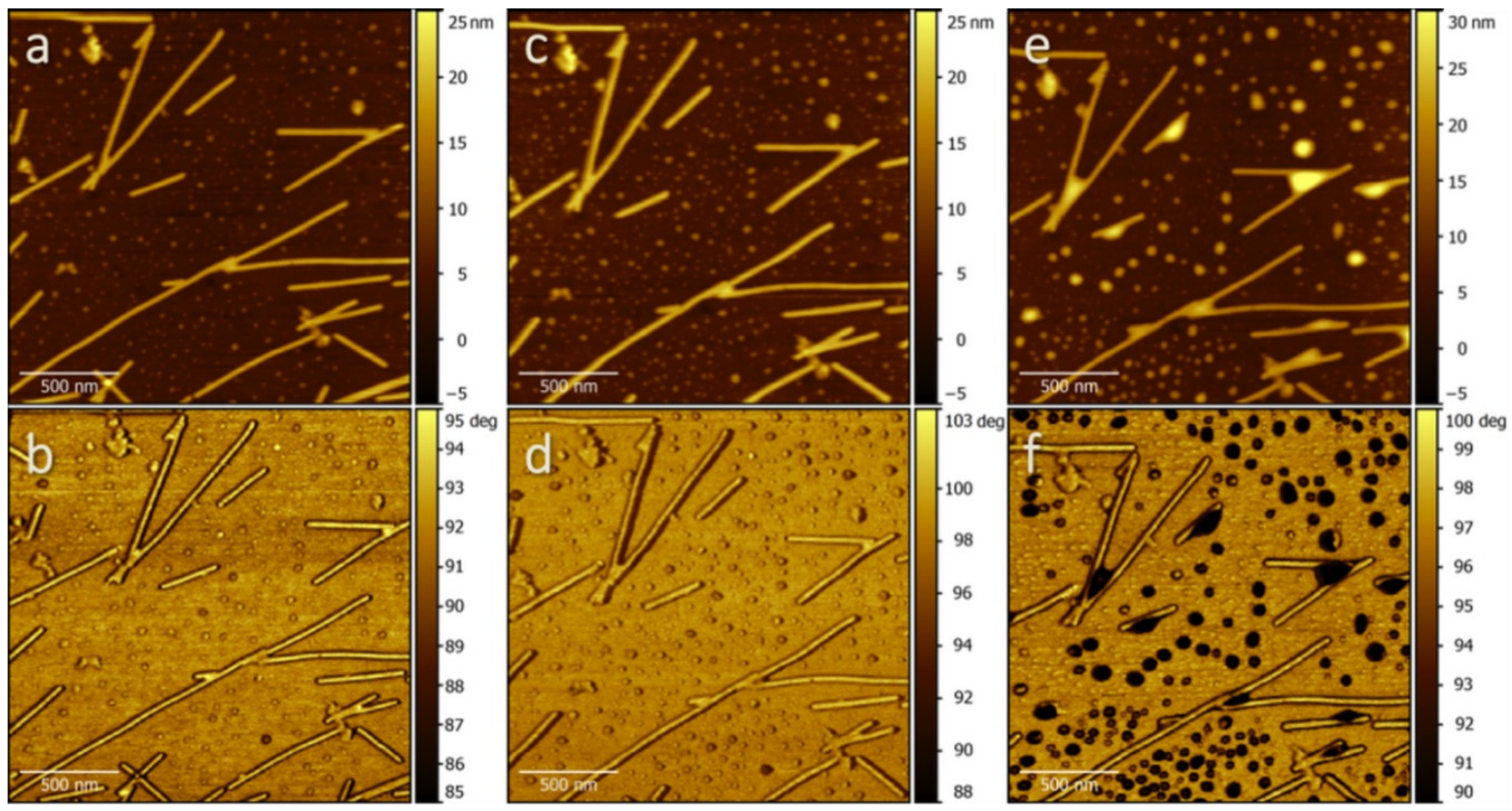 Molecules 26 05184 g002 Molecules 26 05184 g002