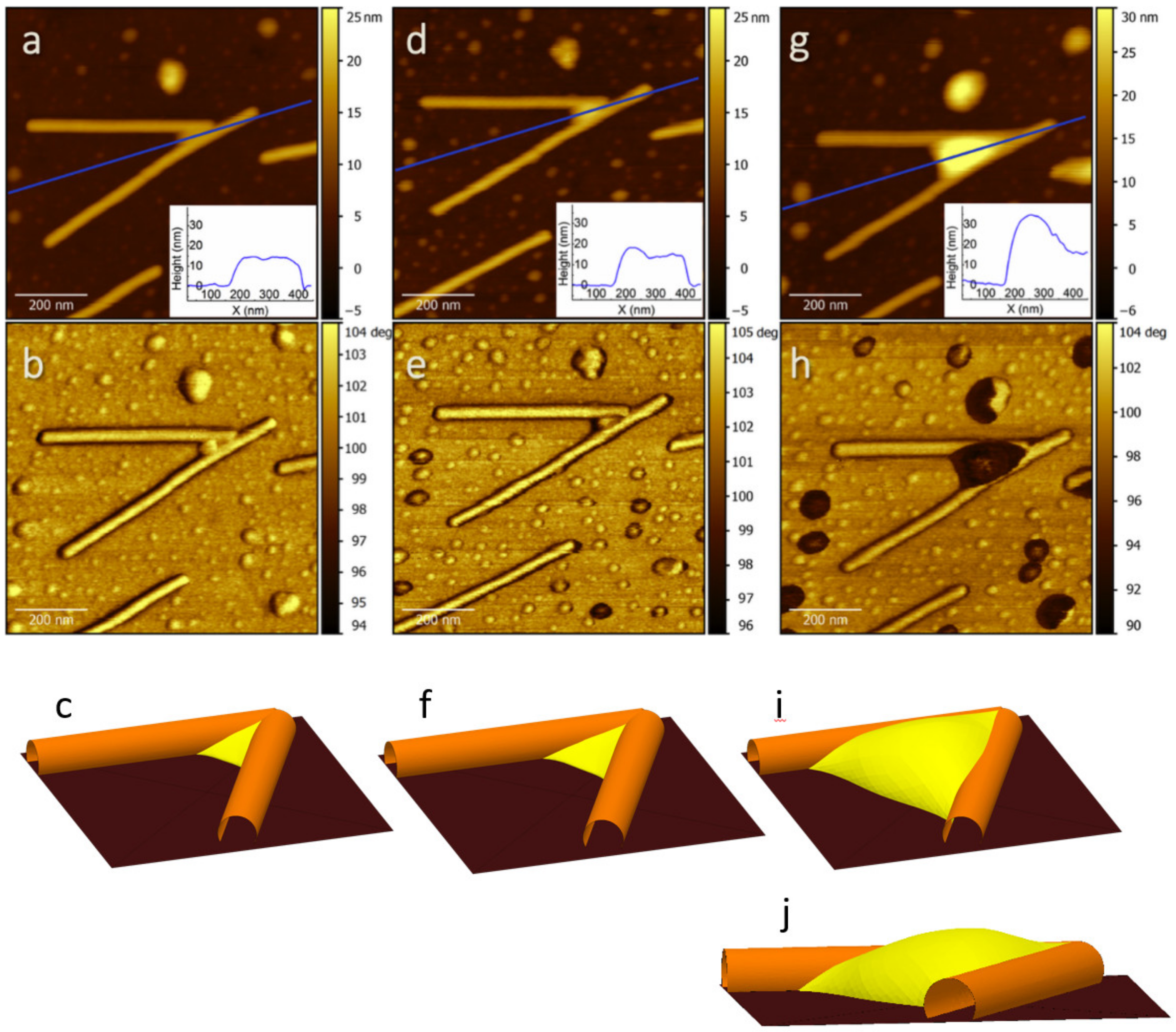 Molecules 26 05184 g003 Molecules 26 05184 g003