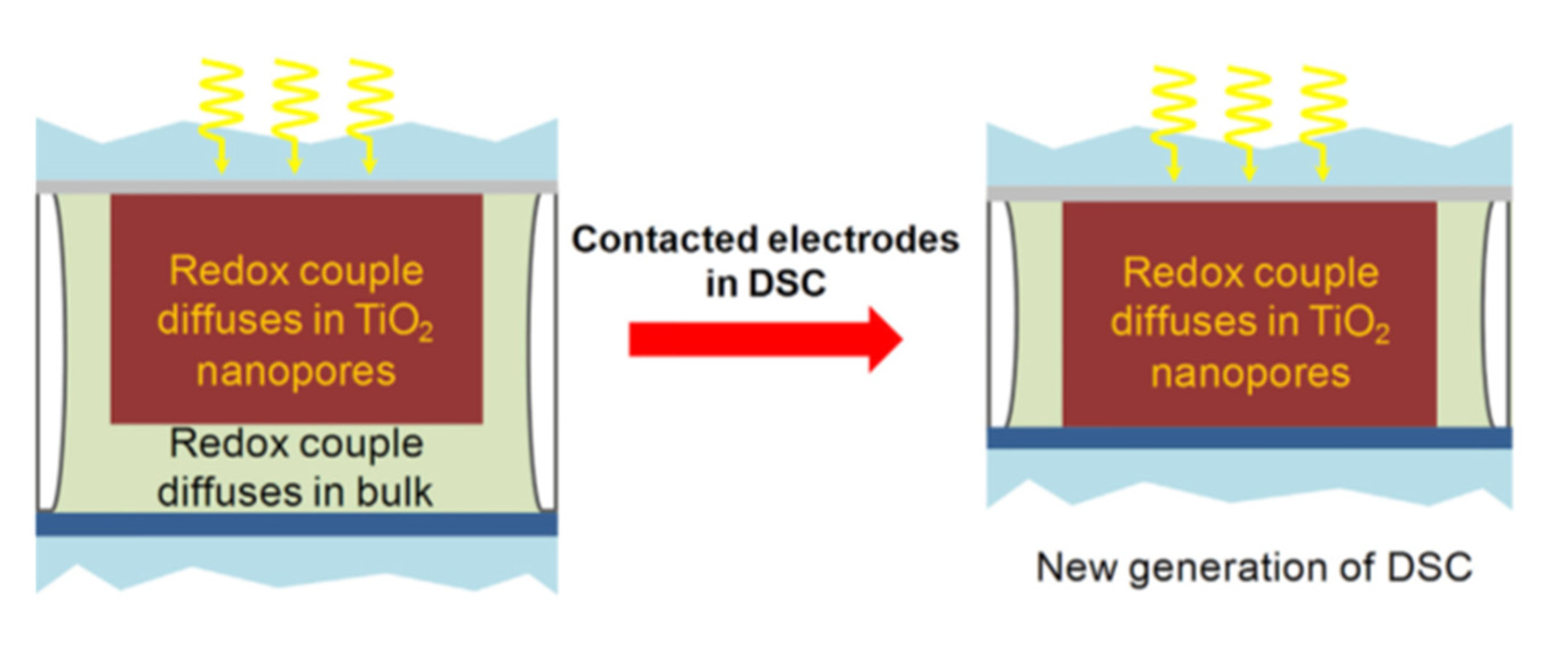 Molecules 26 05186 g007 550