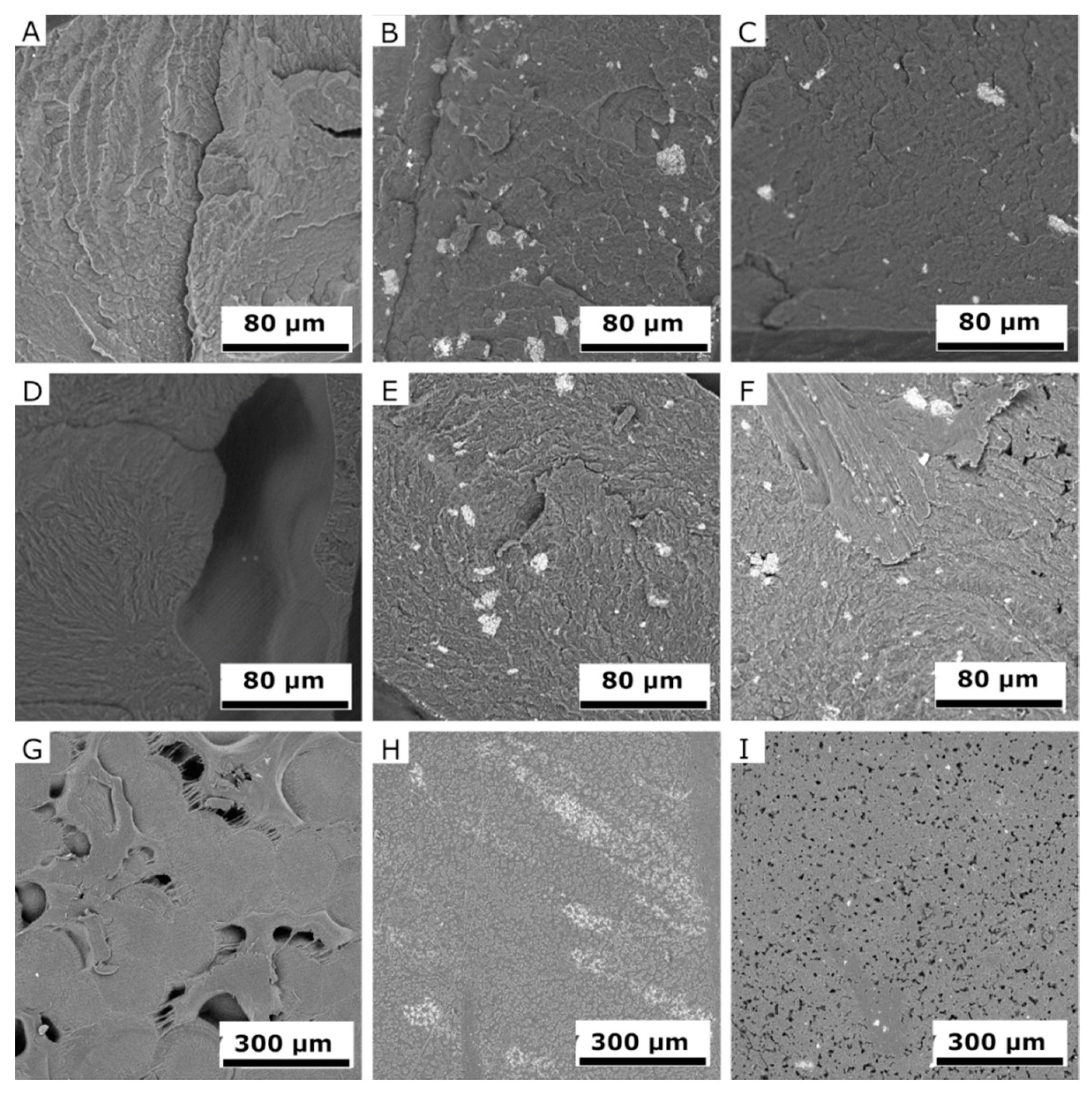 Molecules 26 05190 g014